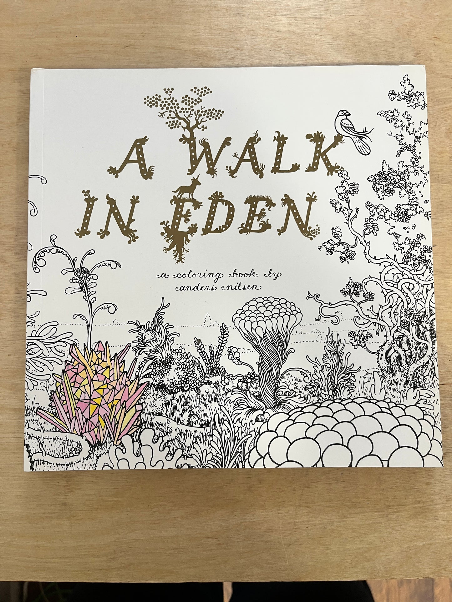 A Walk in Eden coloring book
