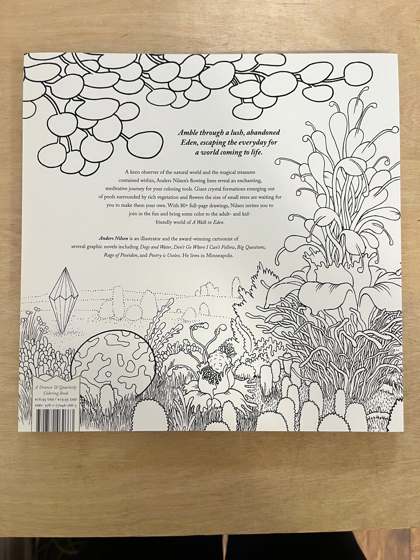 A Walk in Eden coloring book