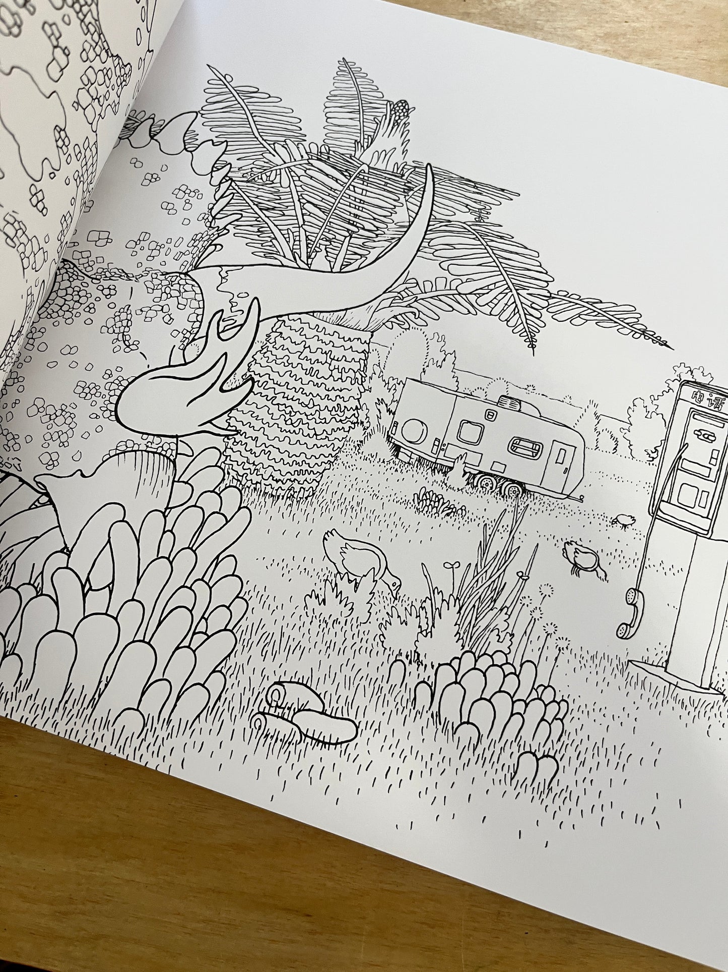 A Walk in Eden coloring book