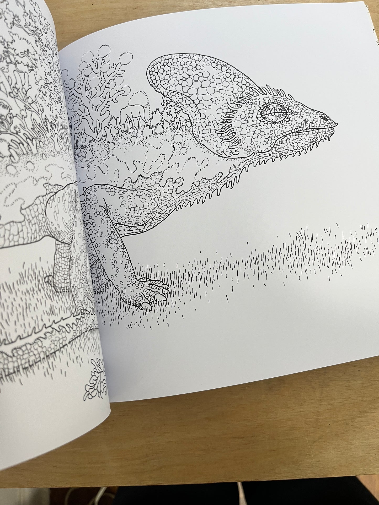 A Walk in Eden coloring book