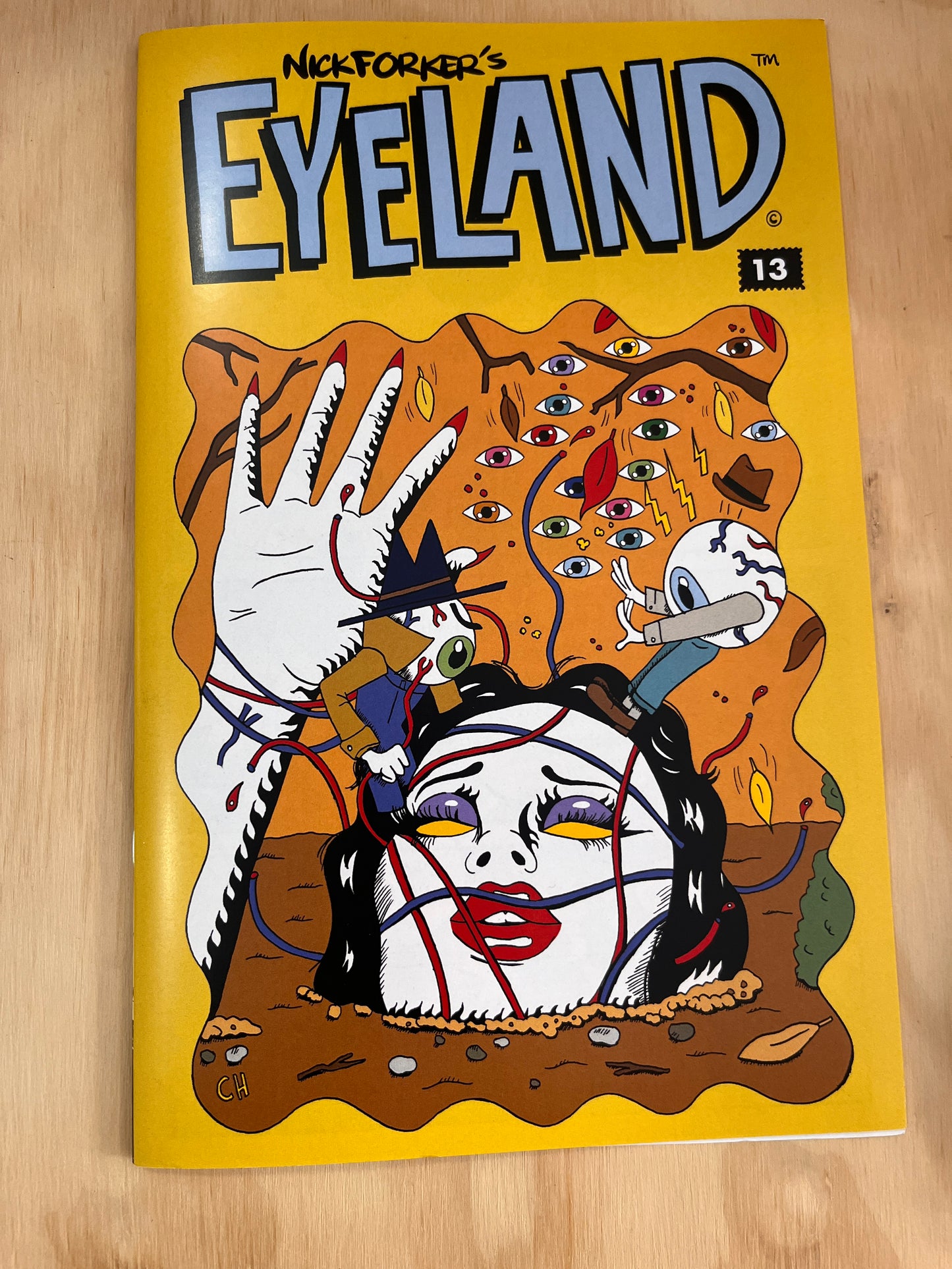 Eyeland #13