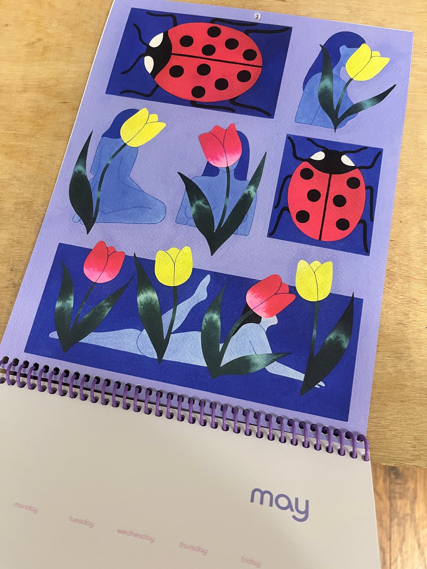 Paige Mehrer Calendar 2026