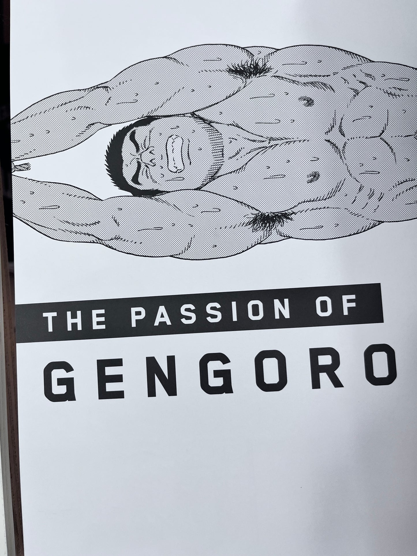 The Passion of Gengoroh Tagame: Master of Gay Erotic Manga Vol. 2