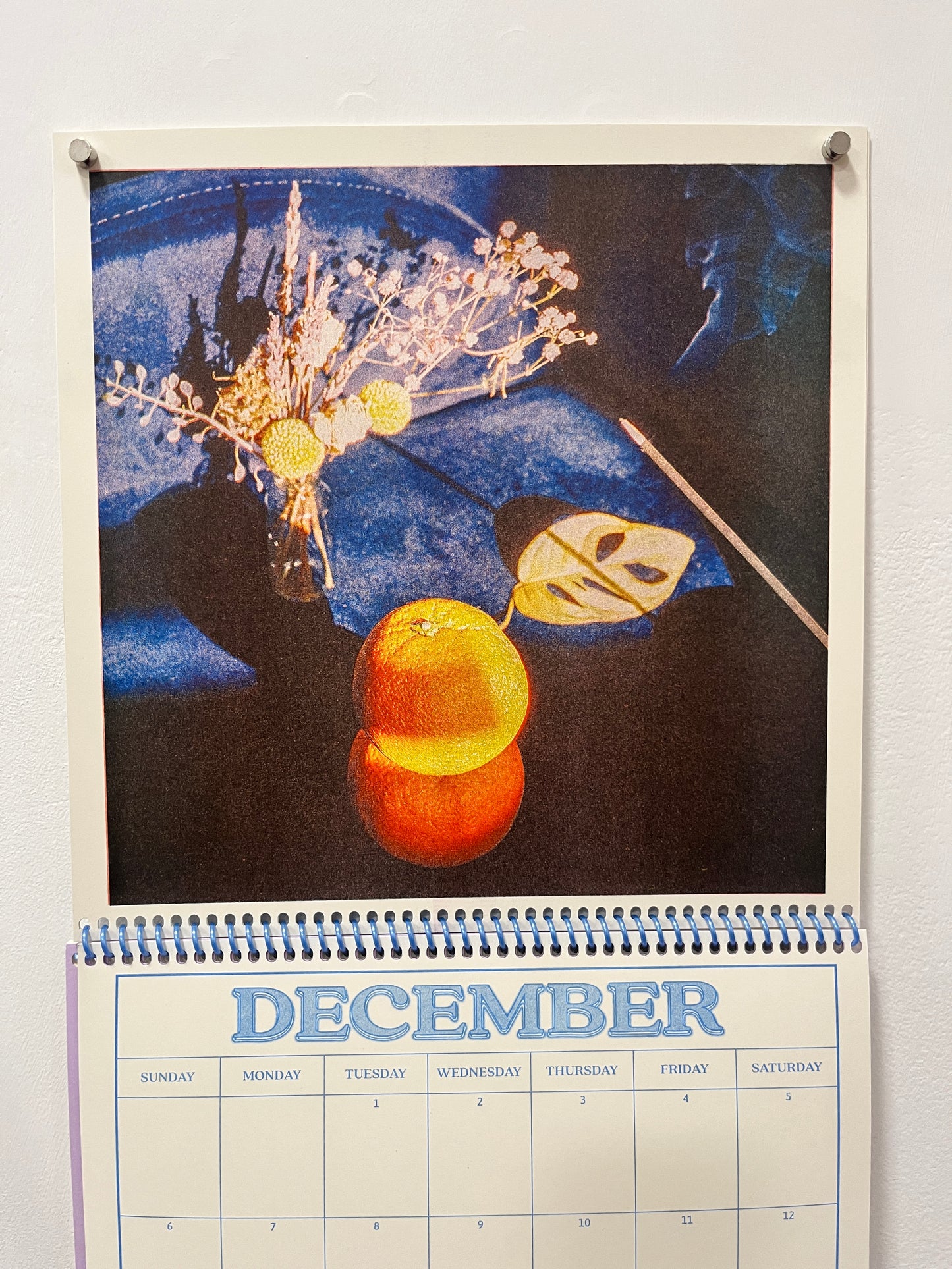 Pet Riso 2026 Calendar!