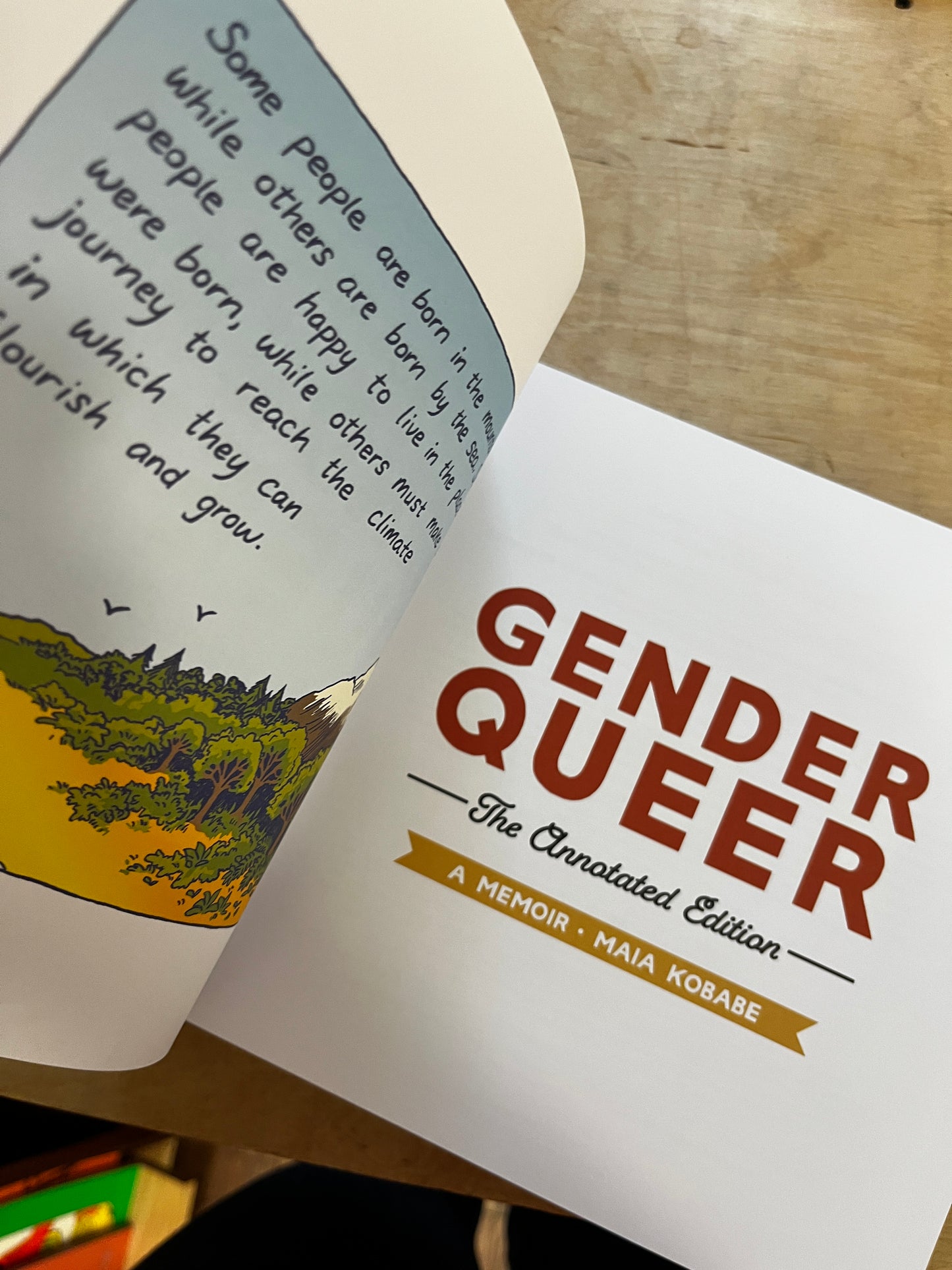 Gender Queer: The Annotated Edition