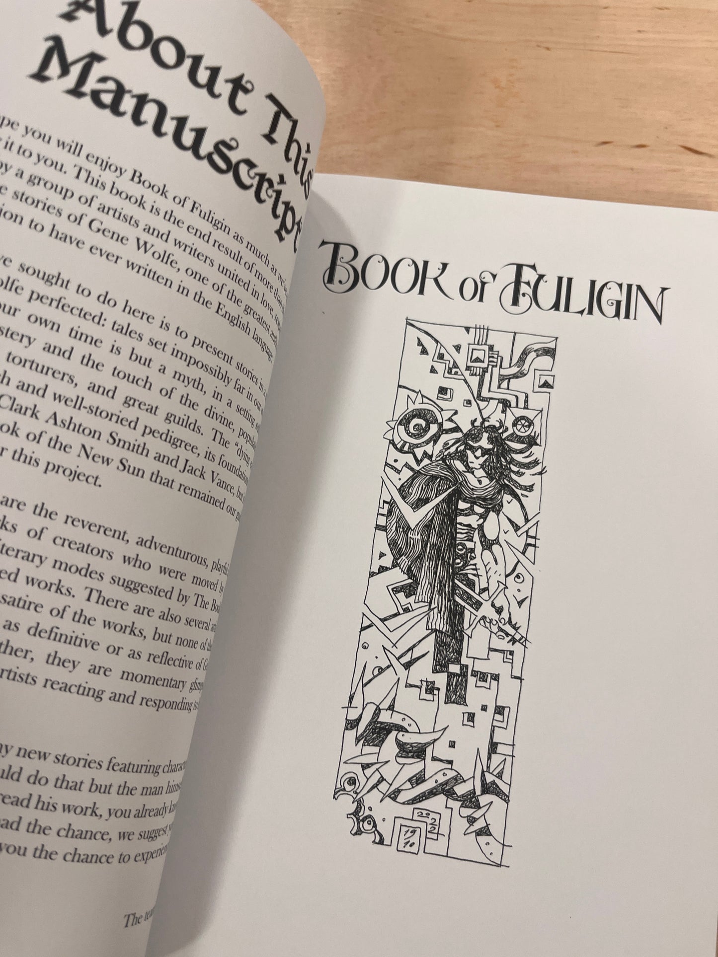 Book of Fulgin