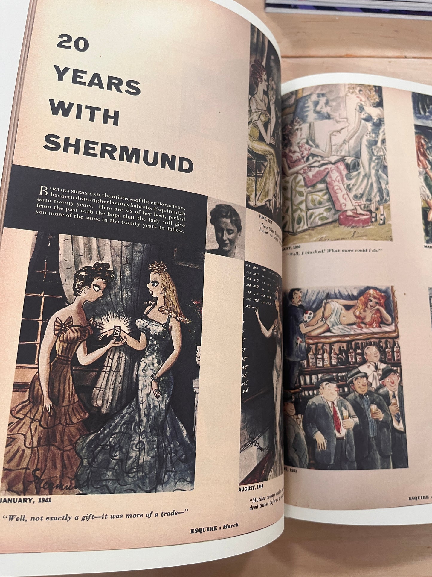 Tell Me a Story Where the Bad Girl Wins: The Life and Art of Barbara Shermund