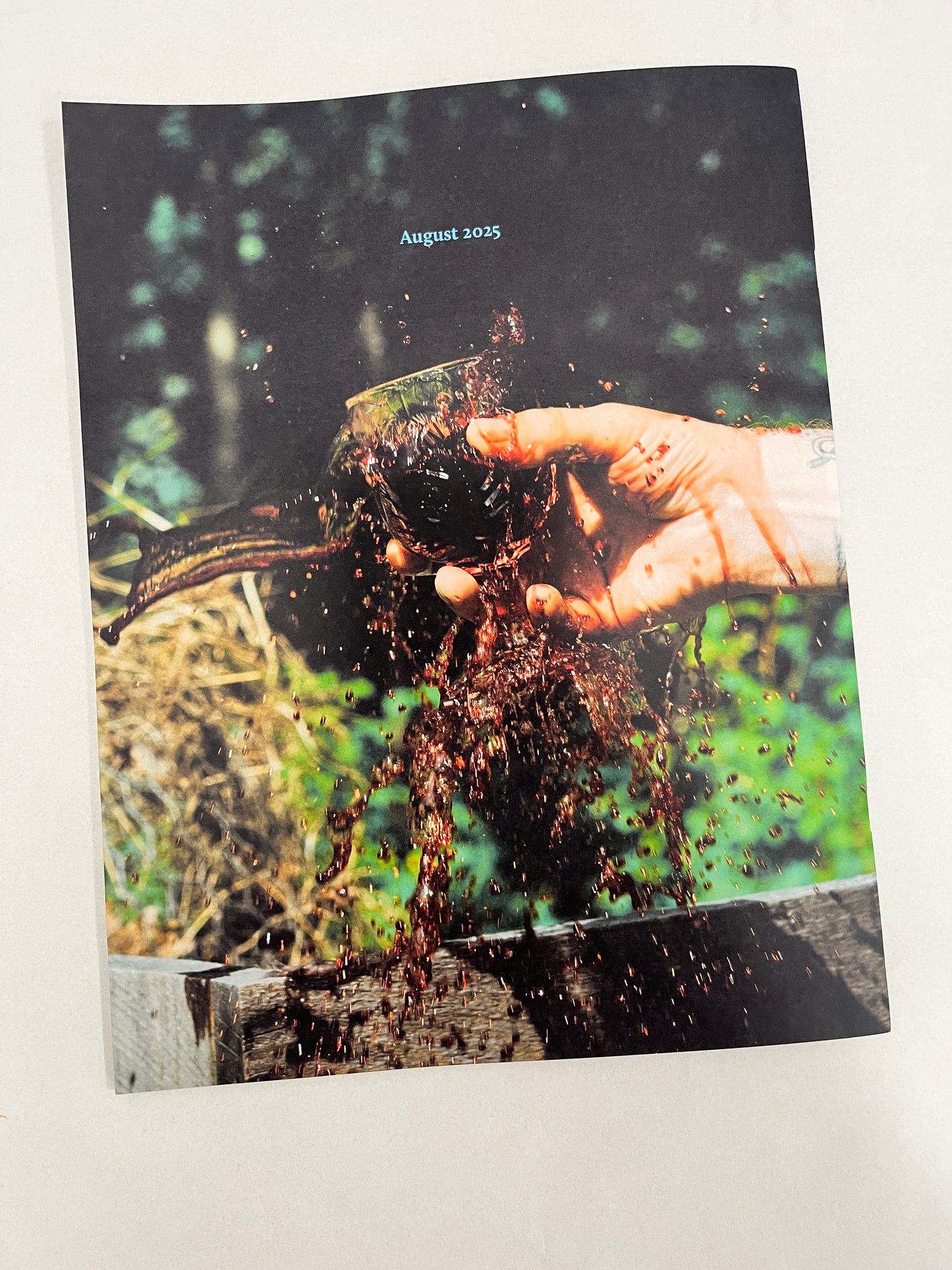 Piss & Vinegar: Issue 01