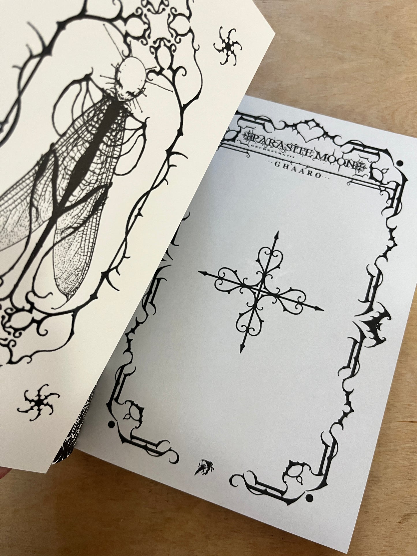 Parasite Moon Orchestra