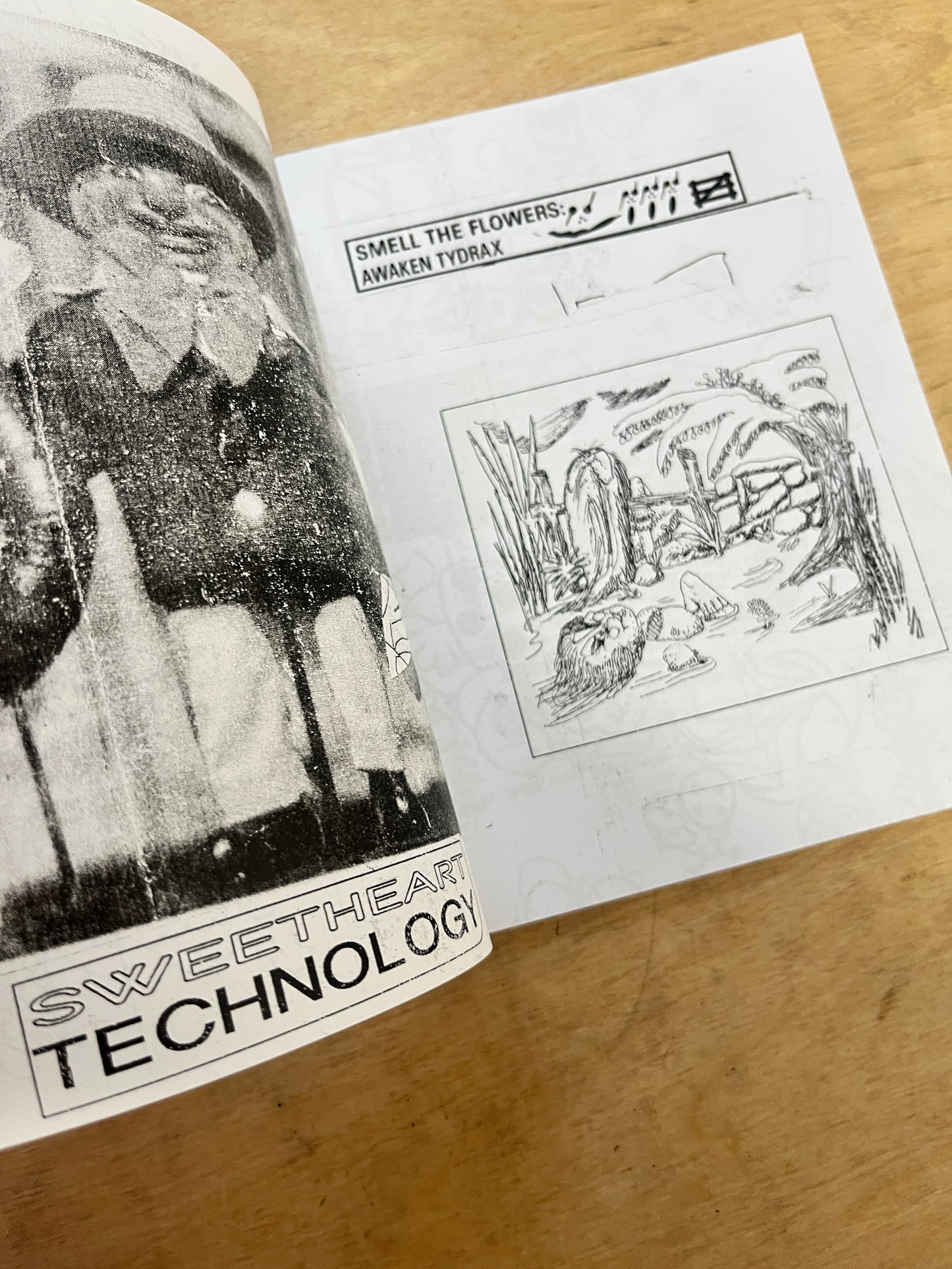 Smell the Flowers: Awaken Tydrax 618  (leomi sadler zine)