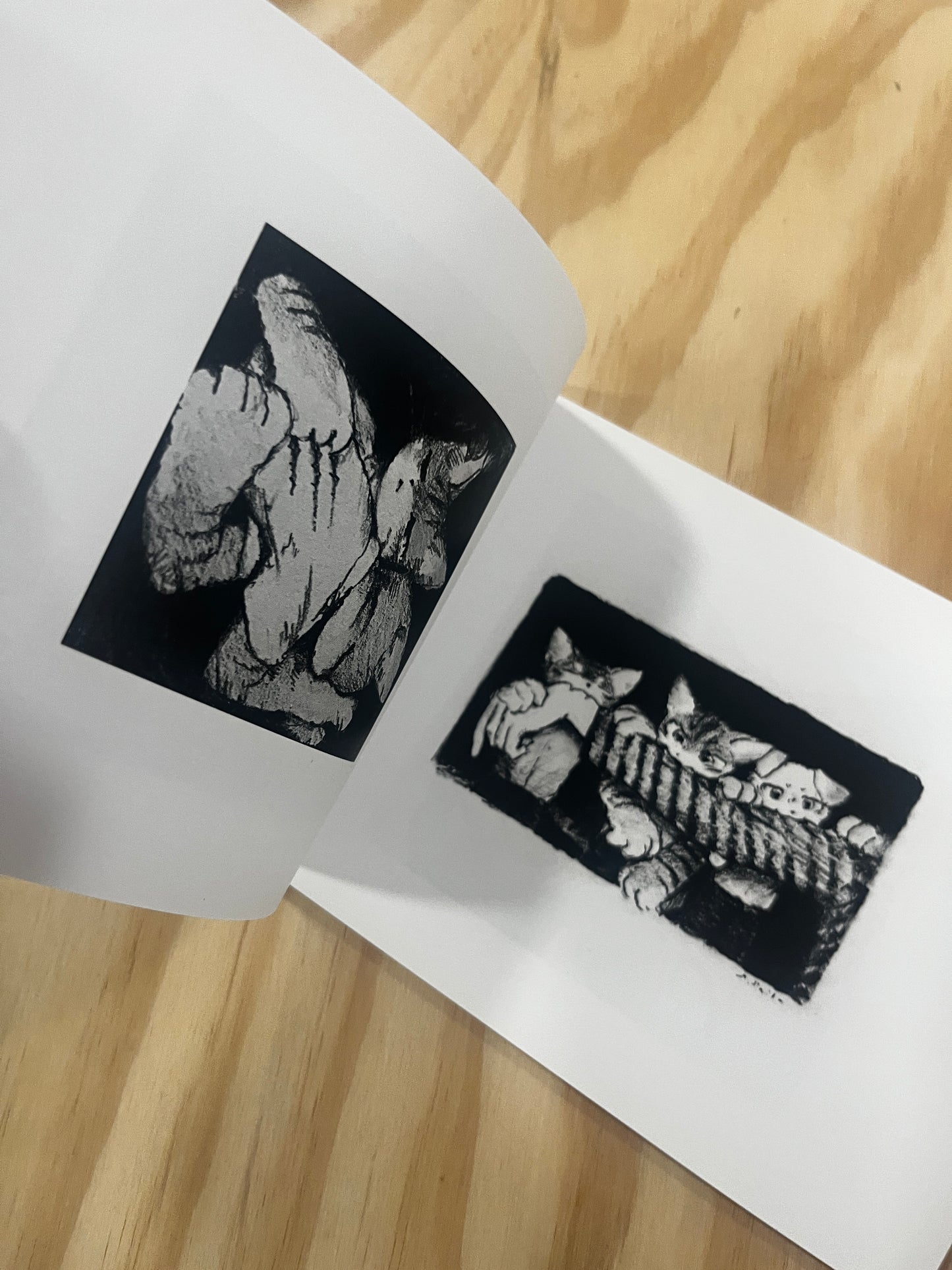 Saika KuroShiro Works Artbook