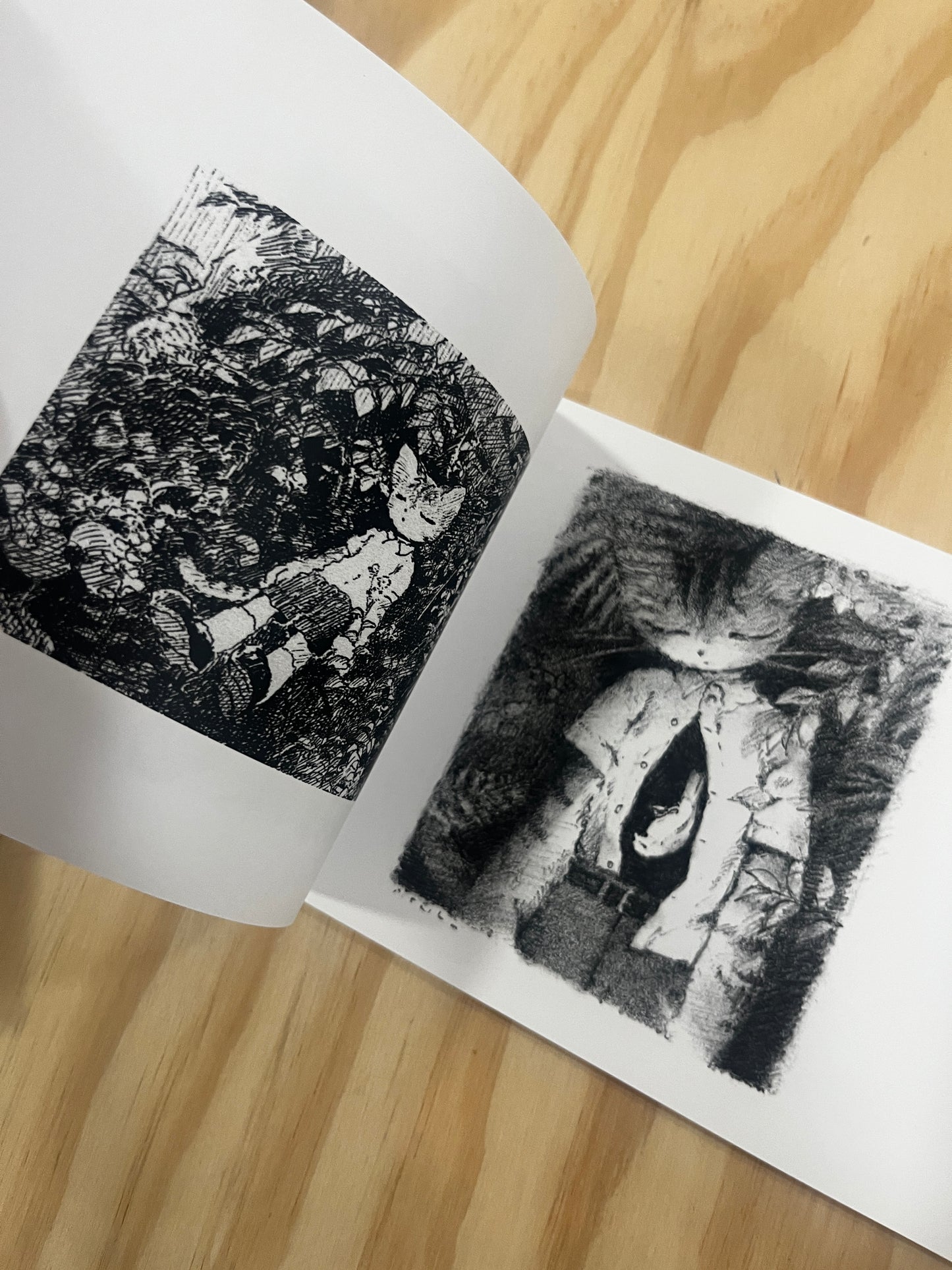 Saika KuroShiro Works Artbook