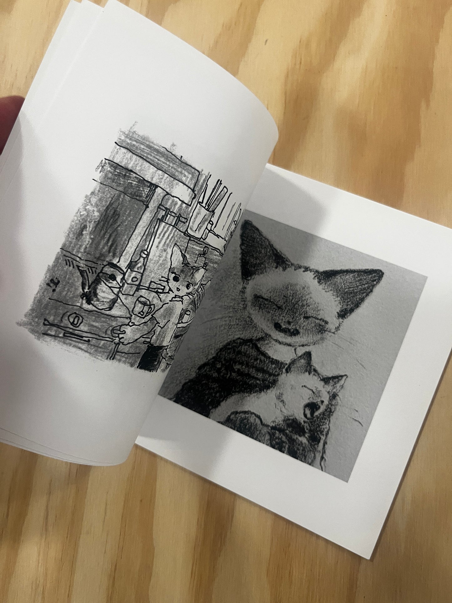 Saika GRAY BOOK Artbook