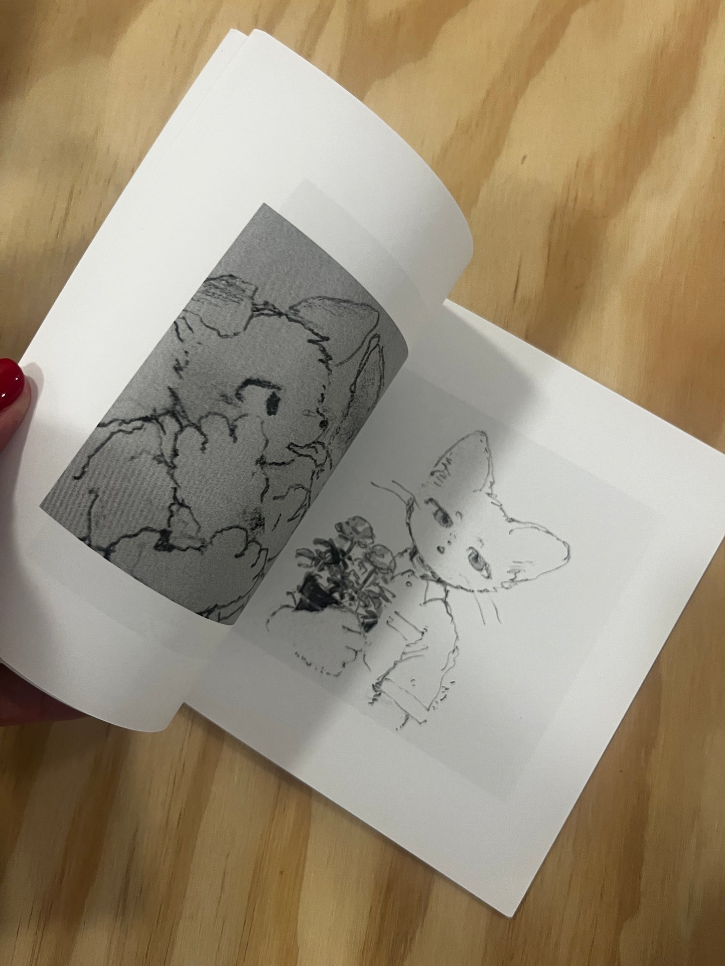 Saika GRAY BOOK Artbook