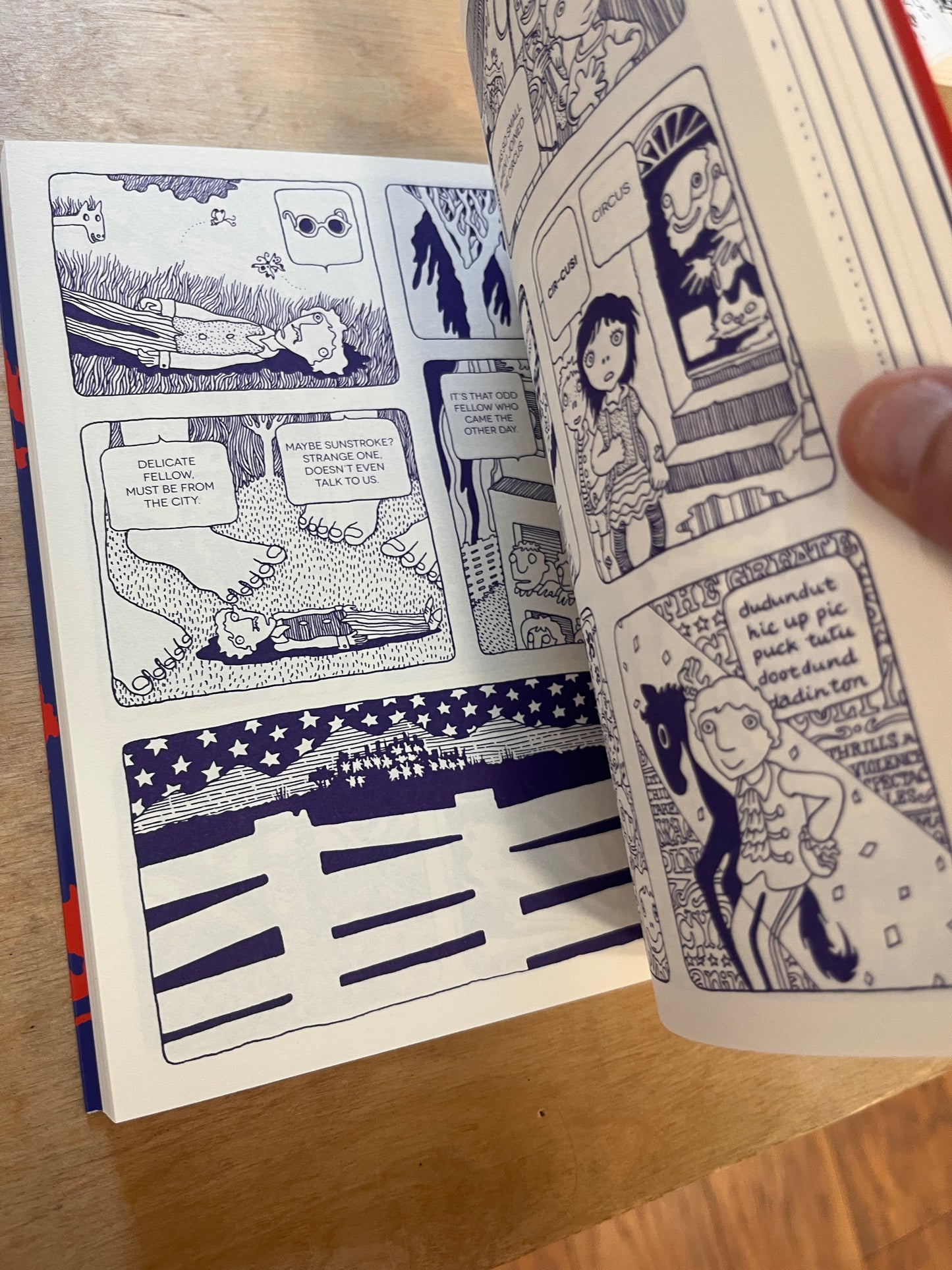 Ding Dong Circus and other stories 1967-1974