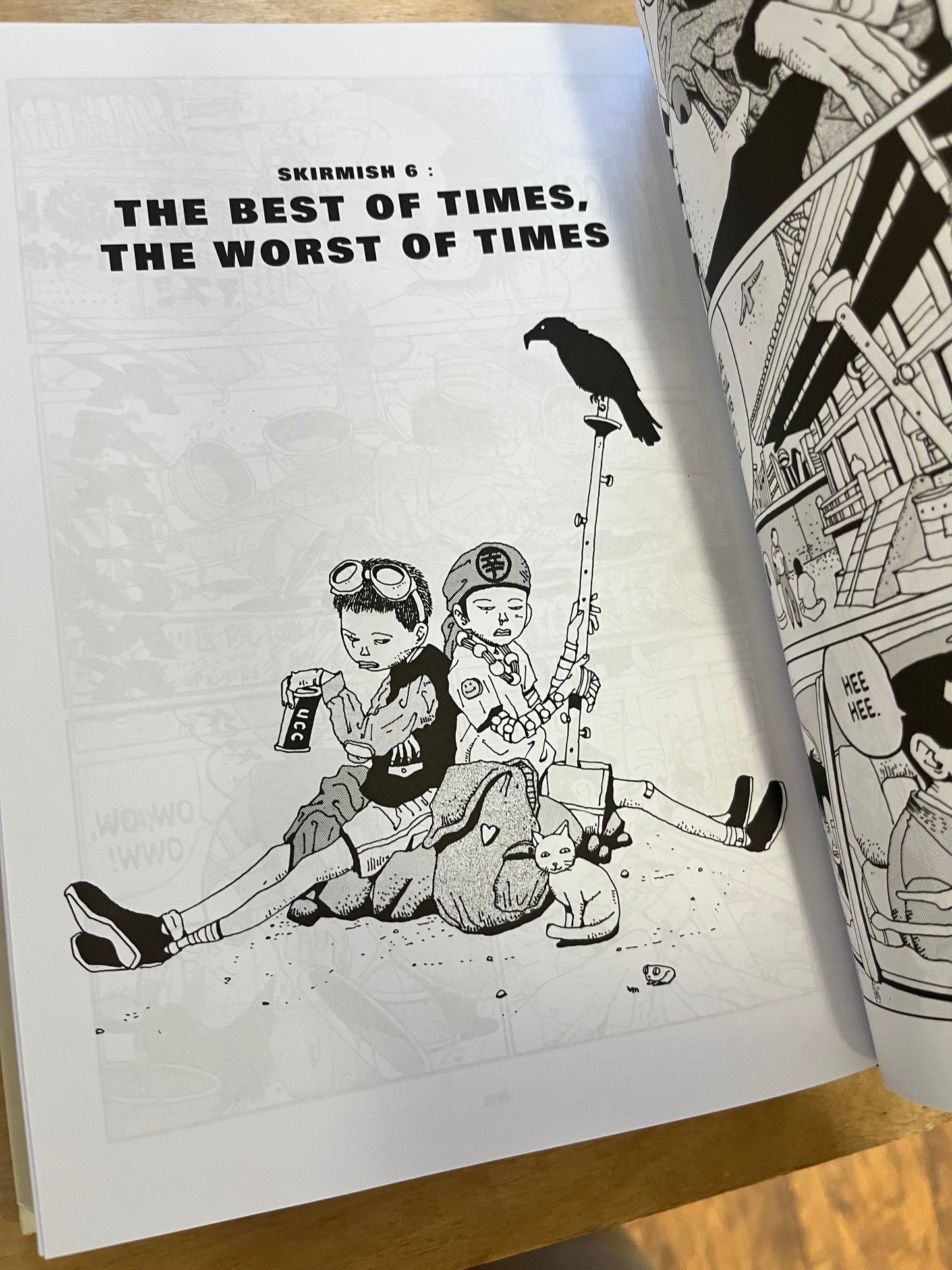Tekkonkinkreet: Black & White 30th Anniversary Edition