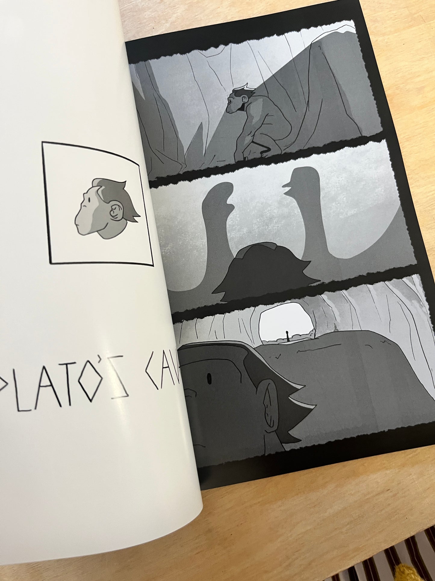 Plato's Cave or The Ape Who Touched Grass