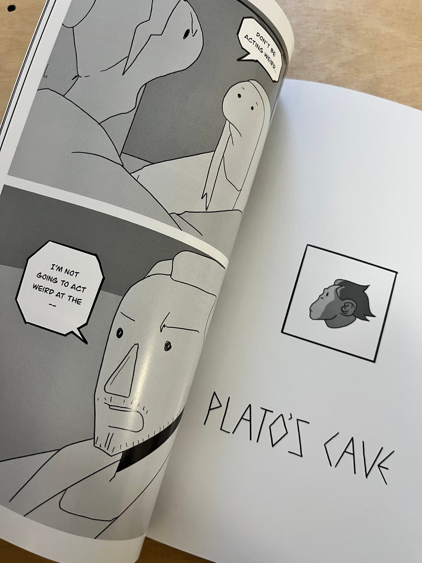 Plato's Cave or The Ape Who Touched Grass