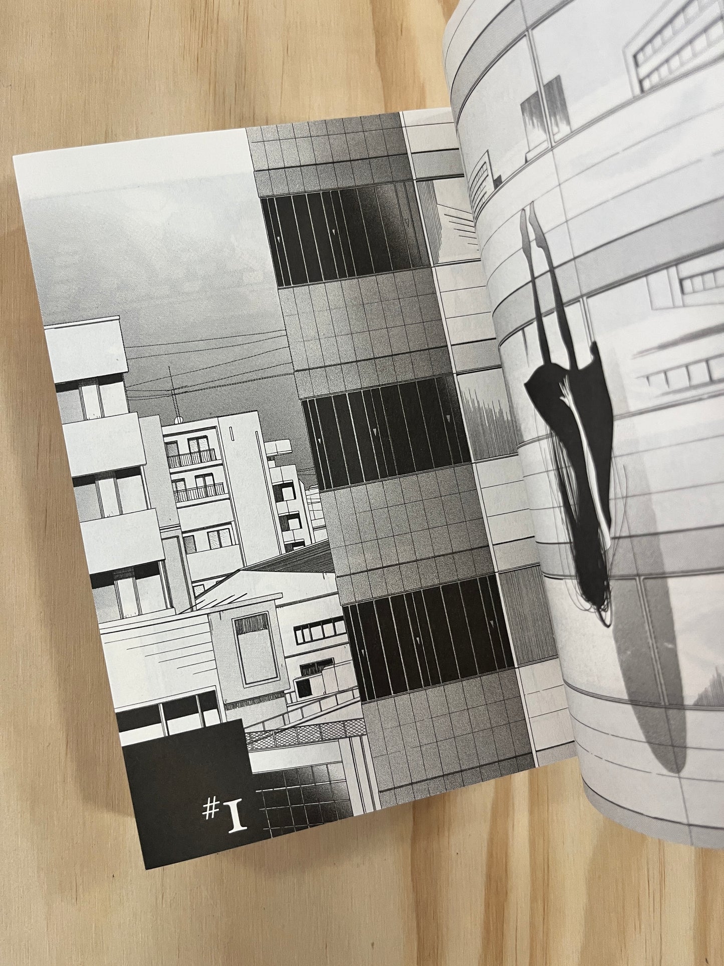 Utsubora: The Story of a Novelist