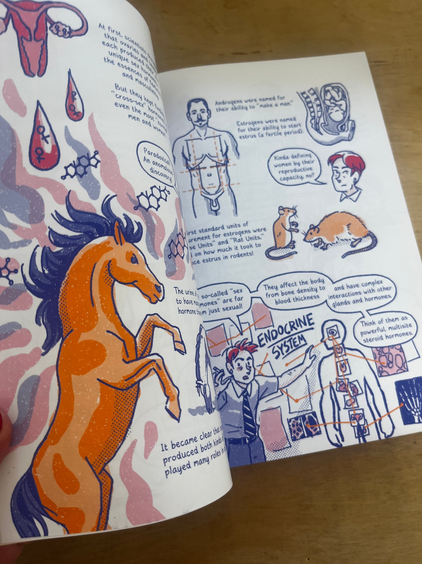Queer and How We Got Here: A (Personal) History