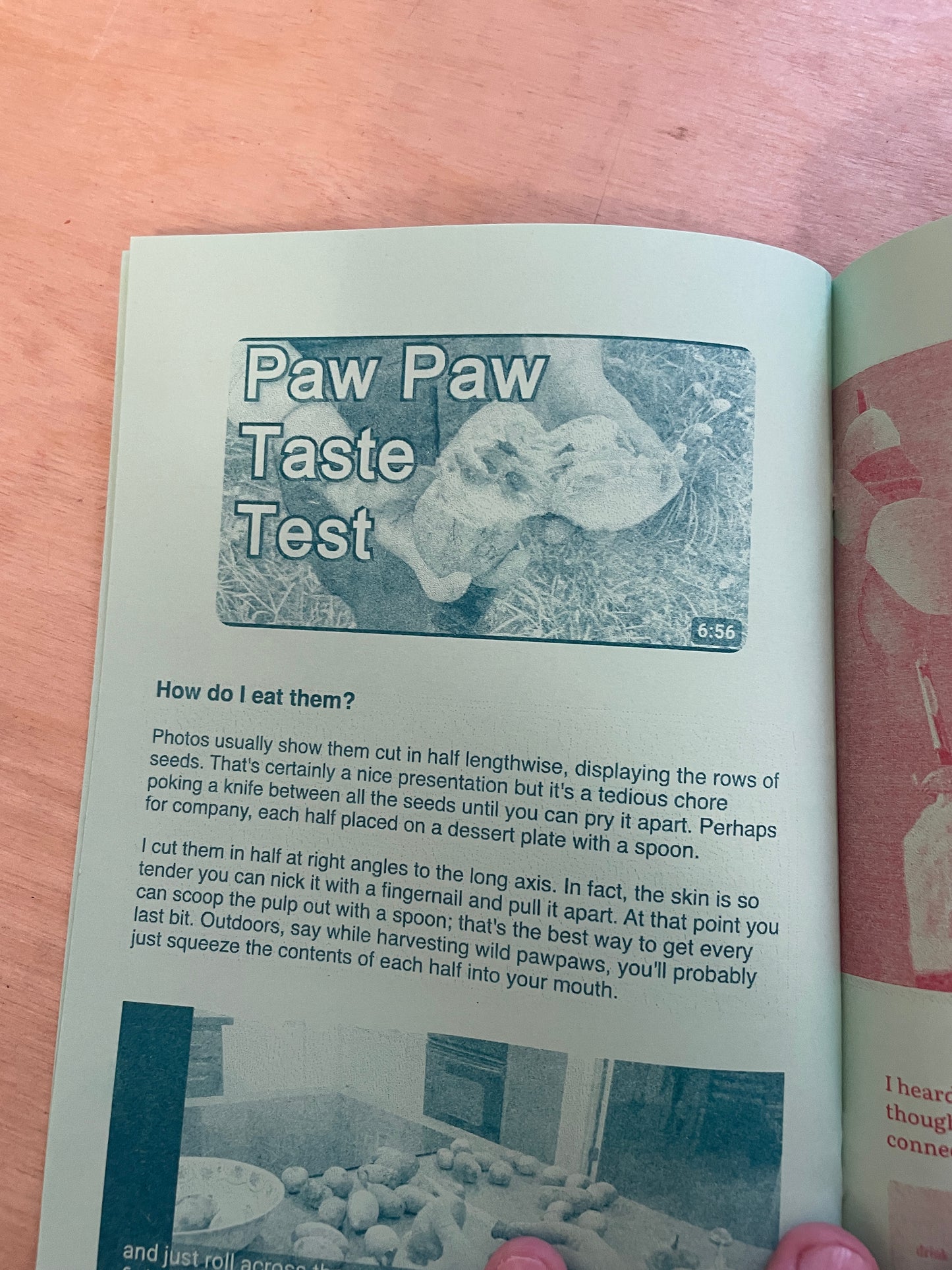 Paw Paw Extravaganza