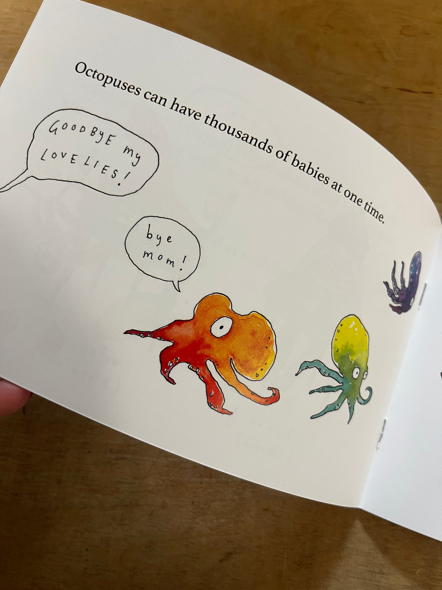 A Tangle of Tentacles (Celia Feldberg)
