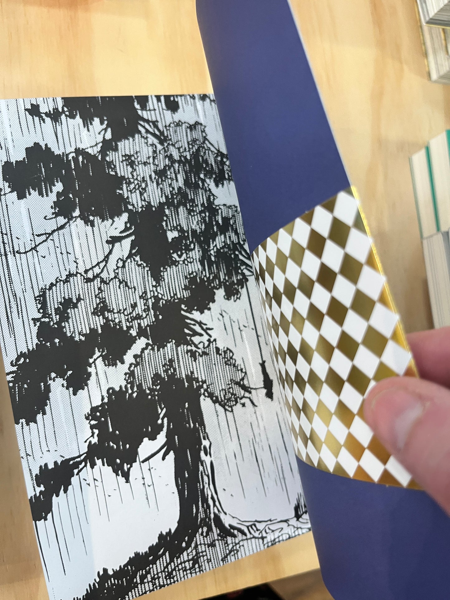 The Legend of Kamui: Volume Two