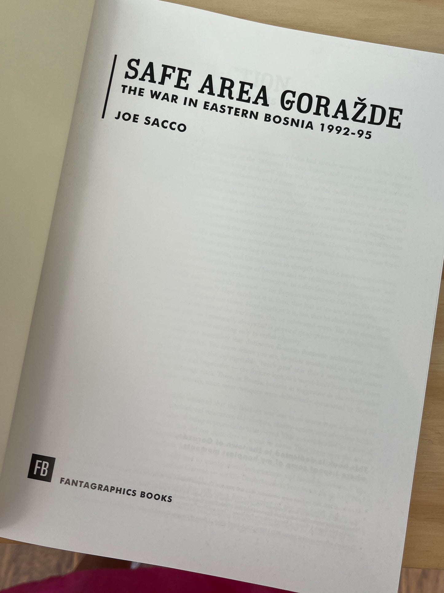 Safe Area Gorazde: The War in Eastern Bosnia 1992-1995