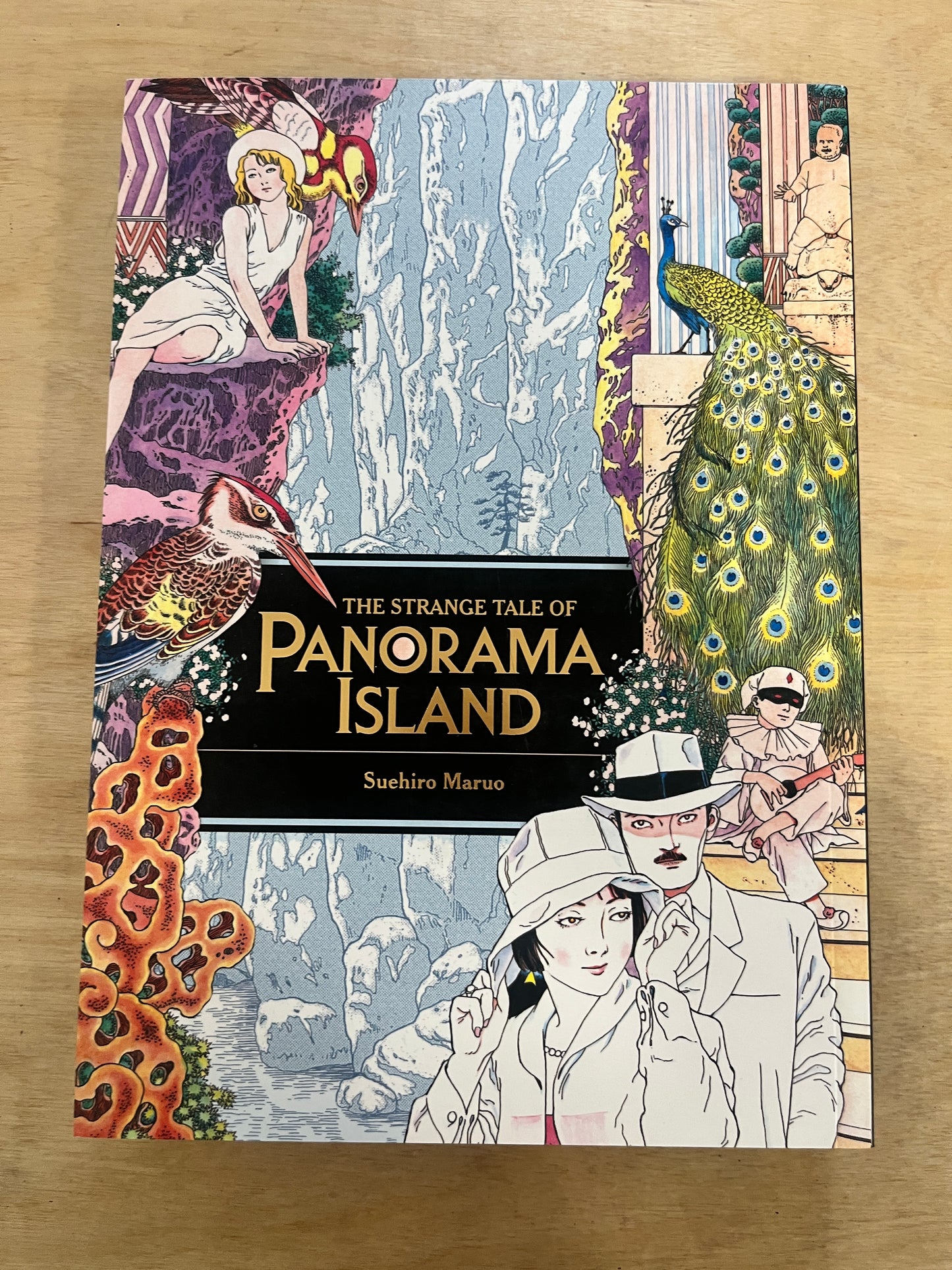 The Strange Tale of Panorama Island