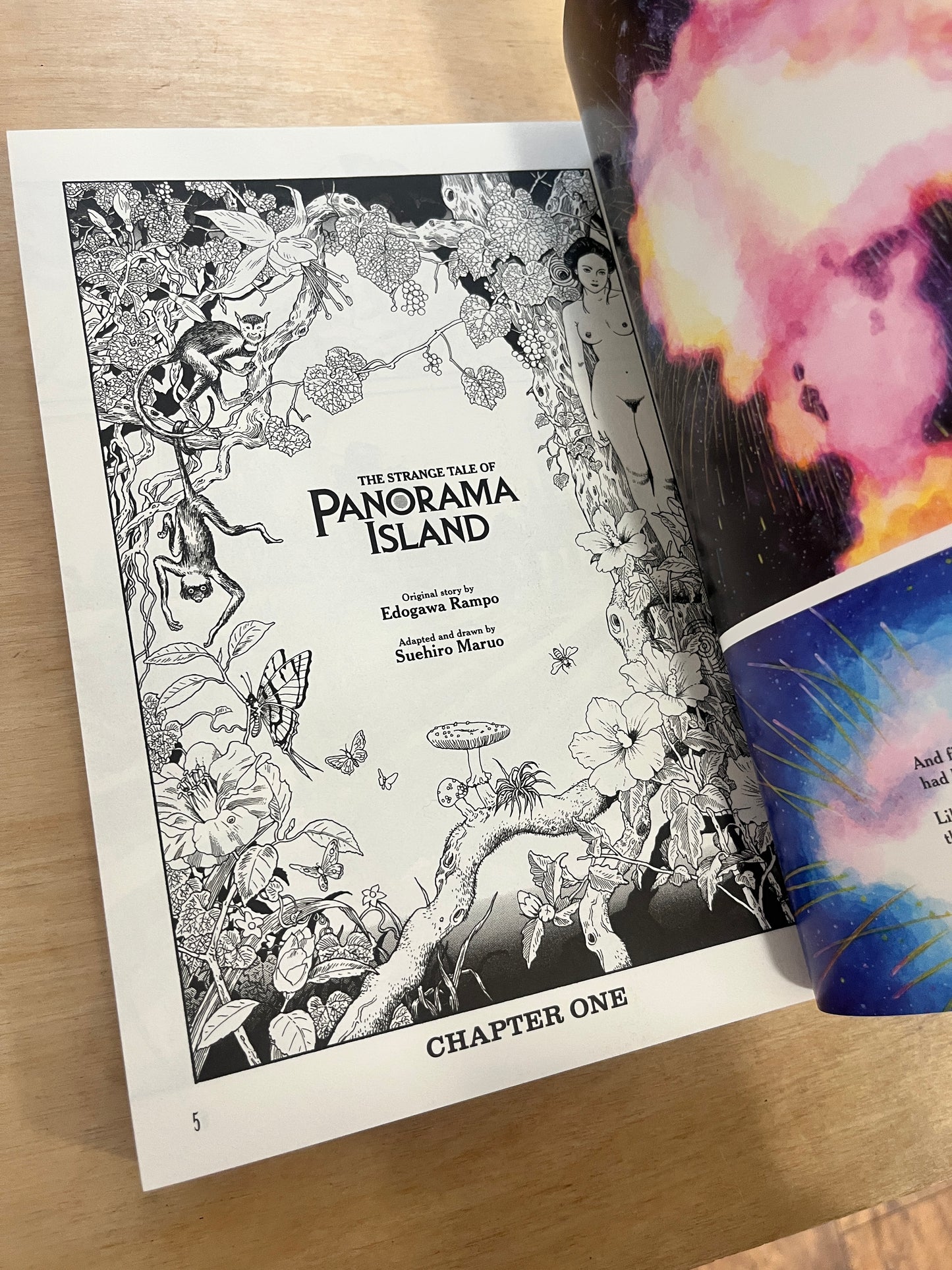 The Strange Tale of Panorama Island