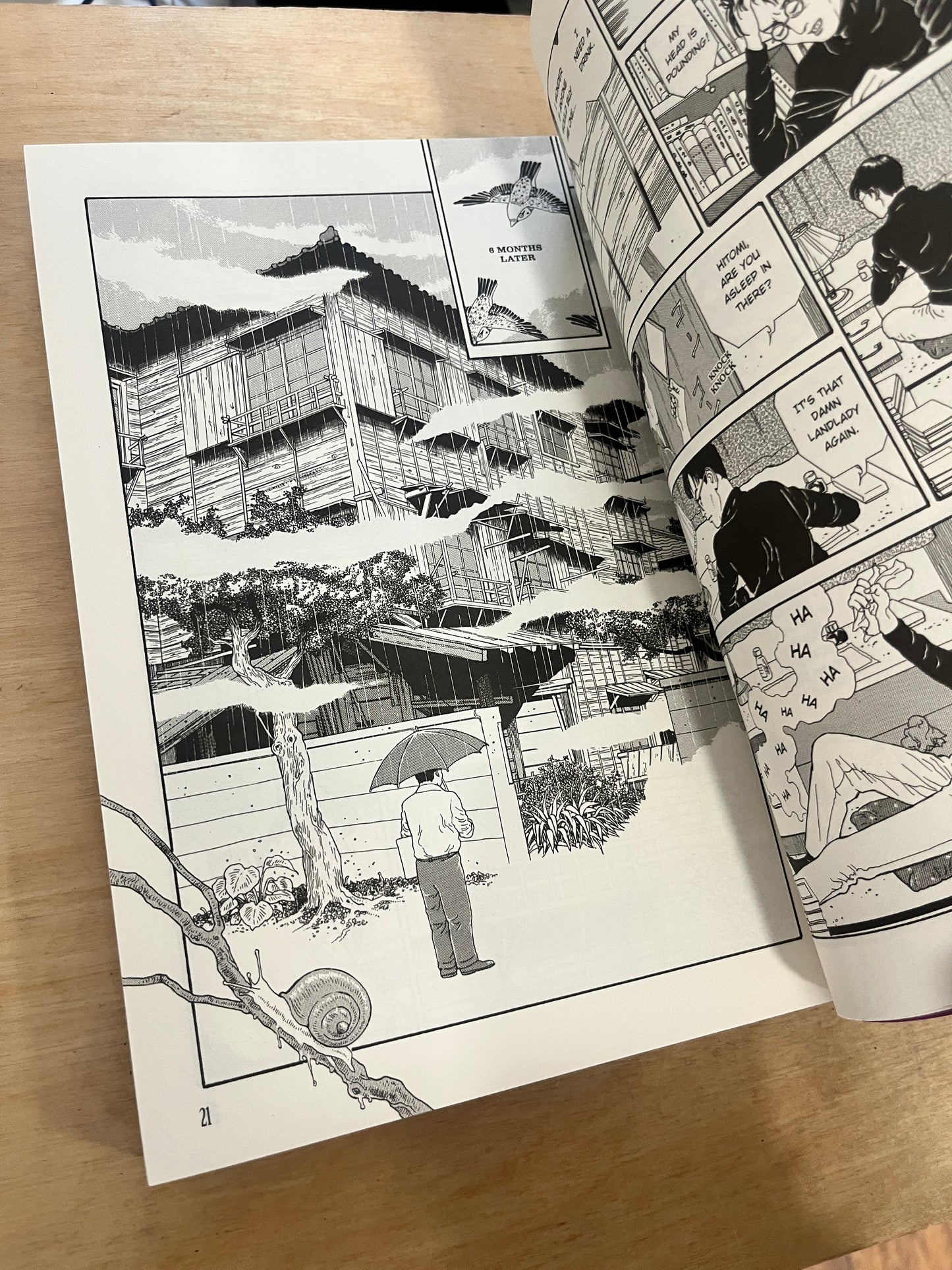 The Strange Tale of Panorama Island