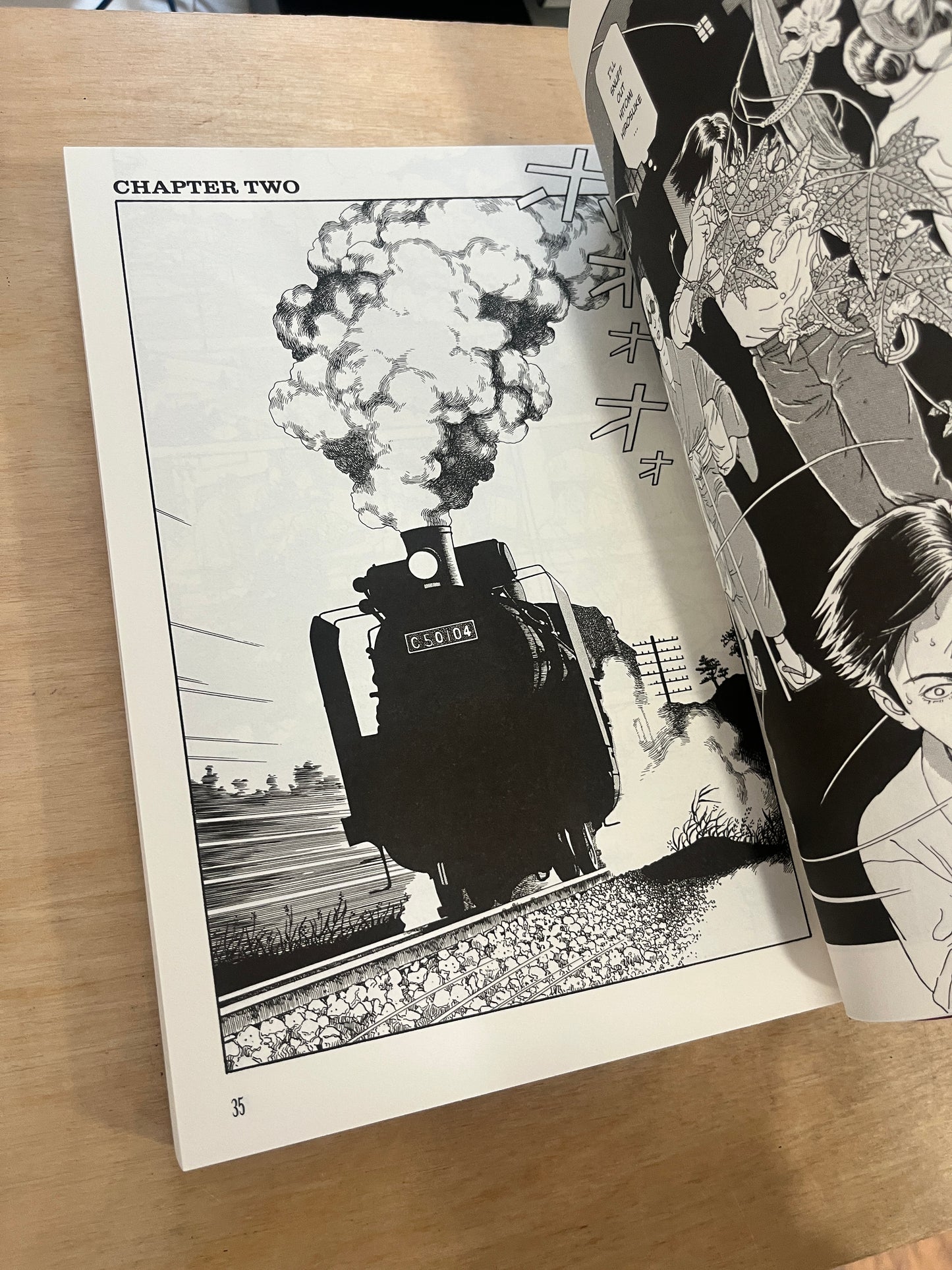 The Strange Tale of Panorama Island