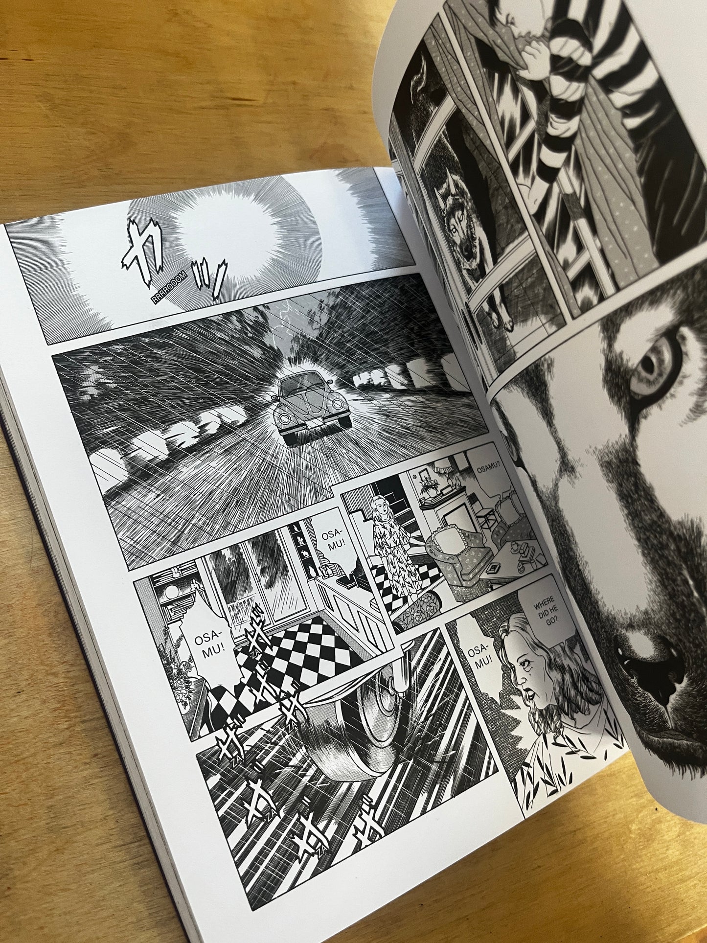 Lunatic Lover's by Maruo Suehiro