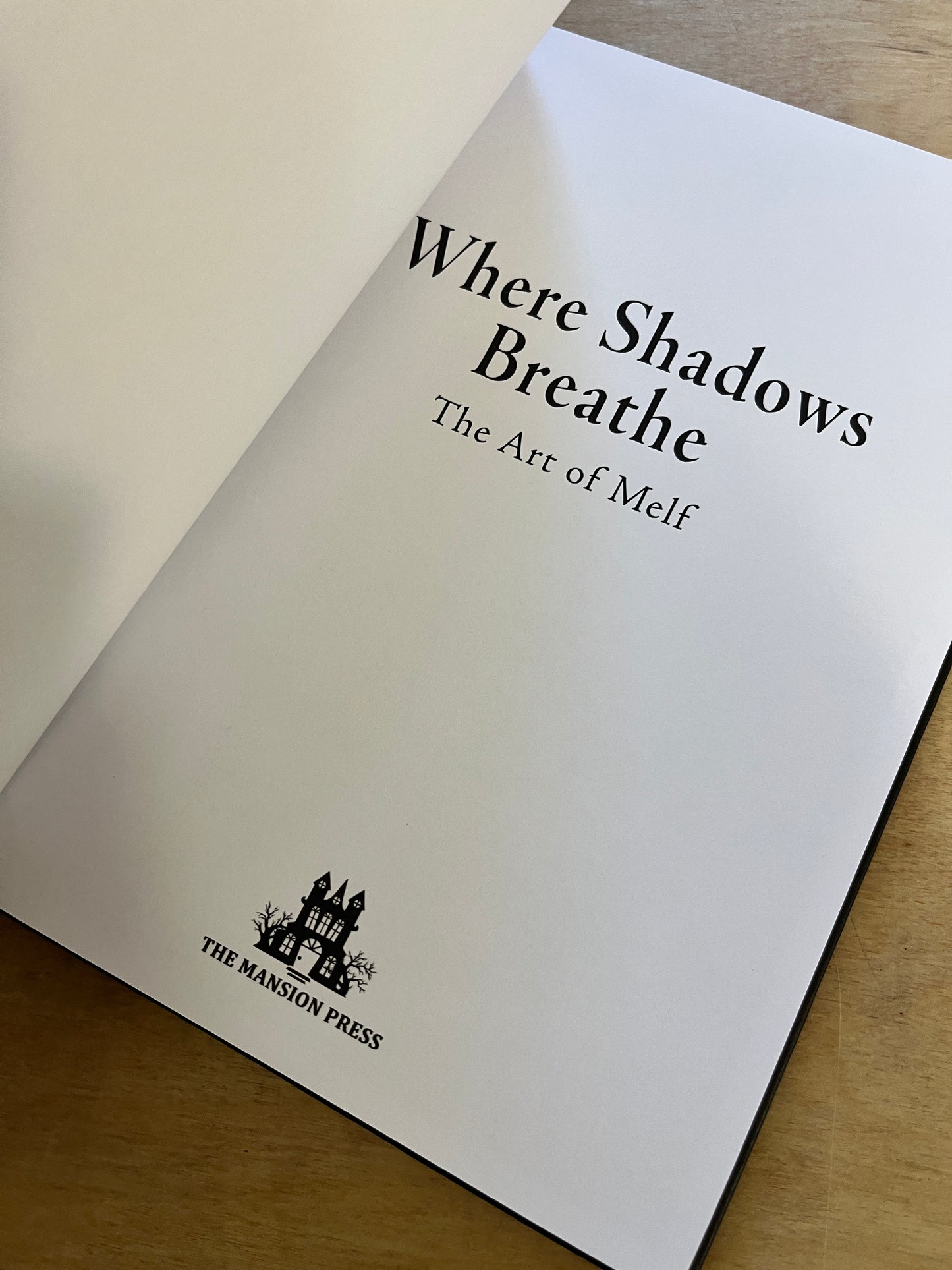 WHERE SHADOWS BREATHE - THE ART OF MELF