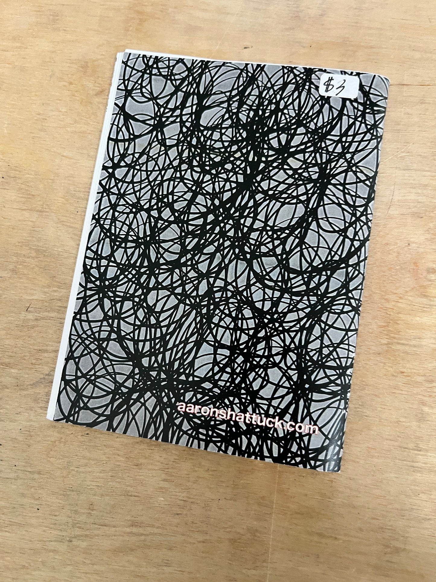 Art Room Revolution: Model Student