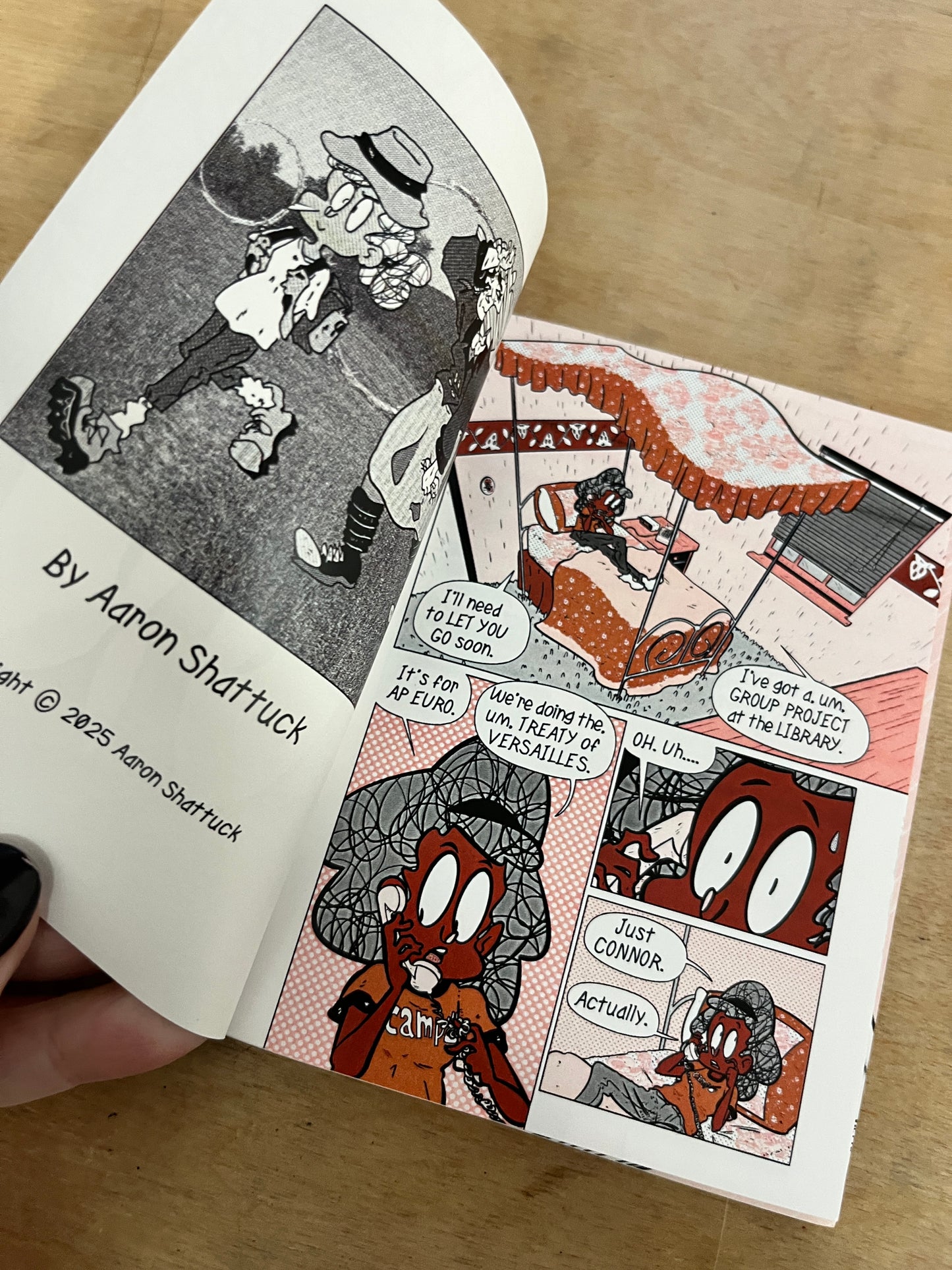 Art Room Revolution: Model Student