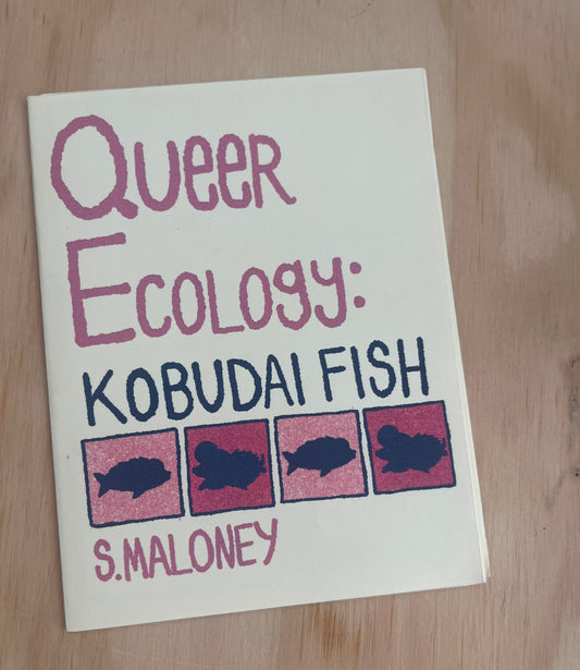 Queer Ecology: Kobudai Fish