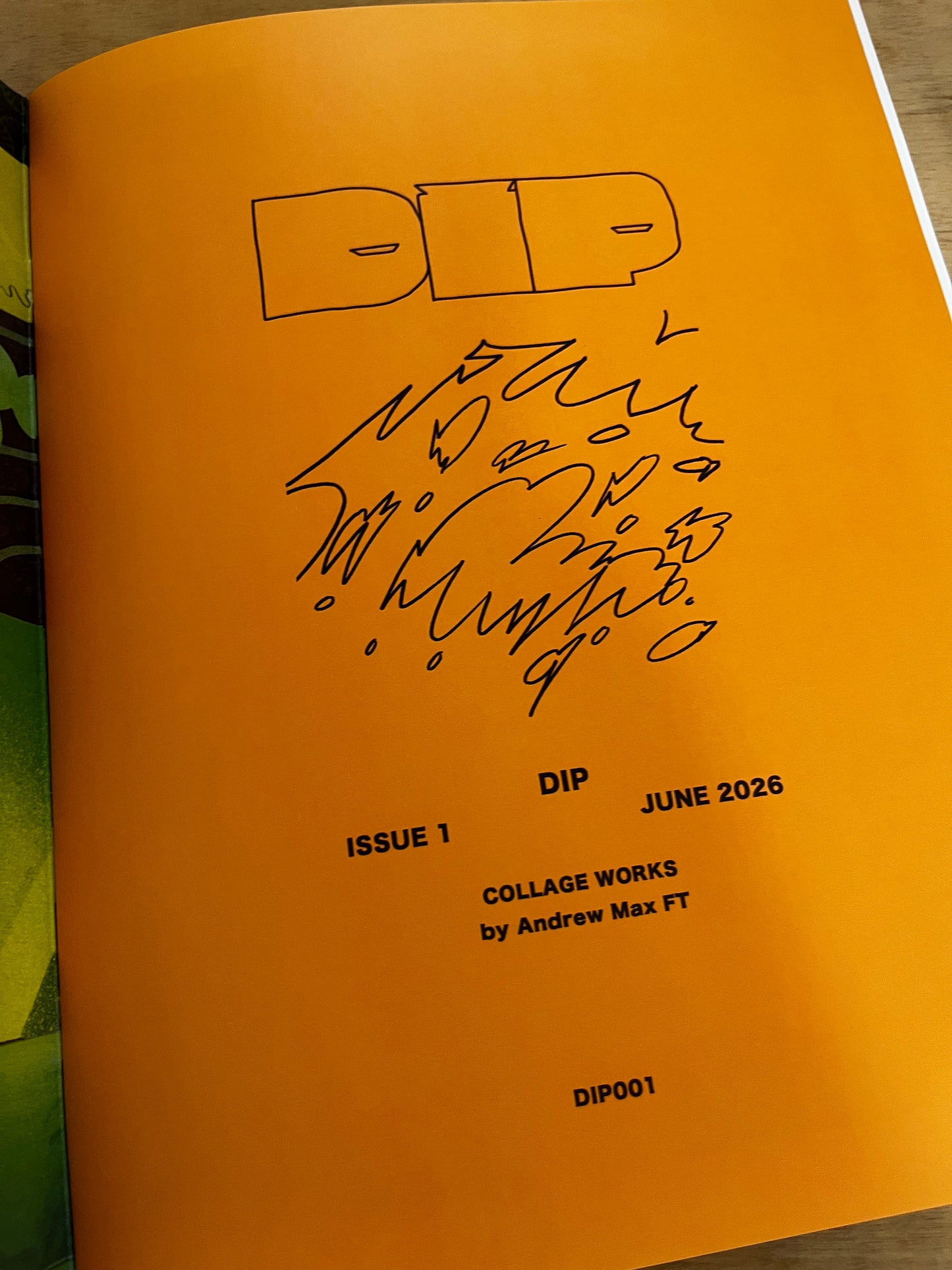 DIP Issue 1