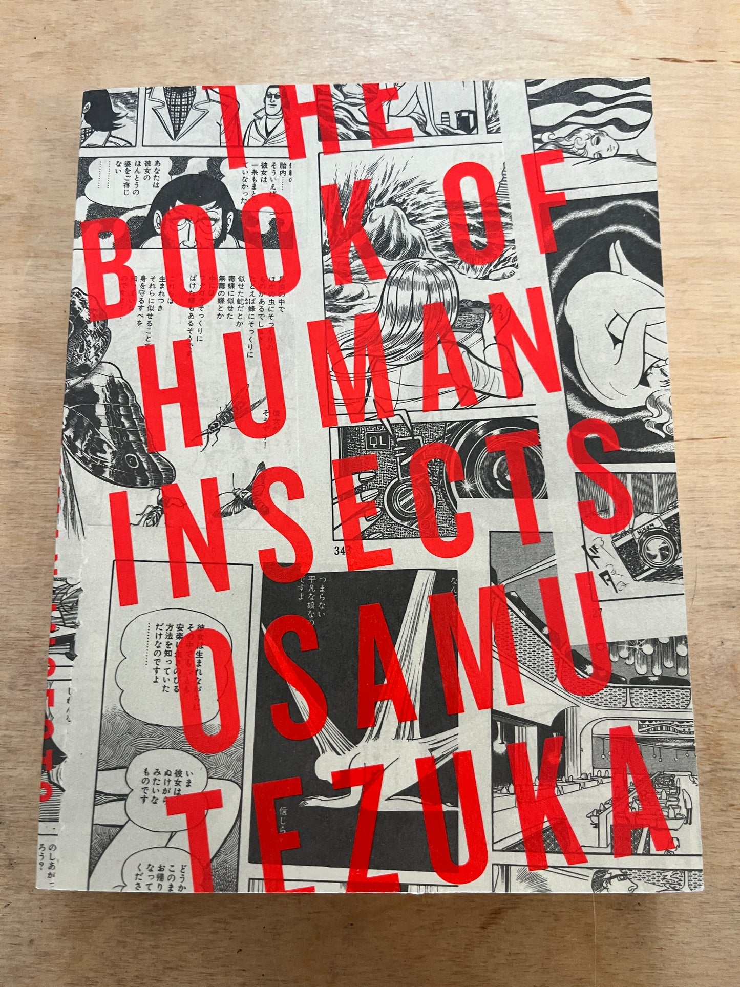 The Book of Human Insects