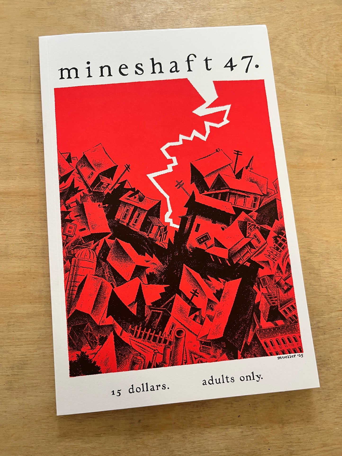 Mineshaft #47