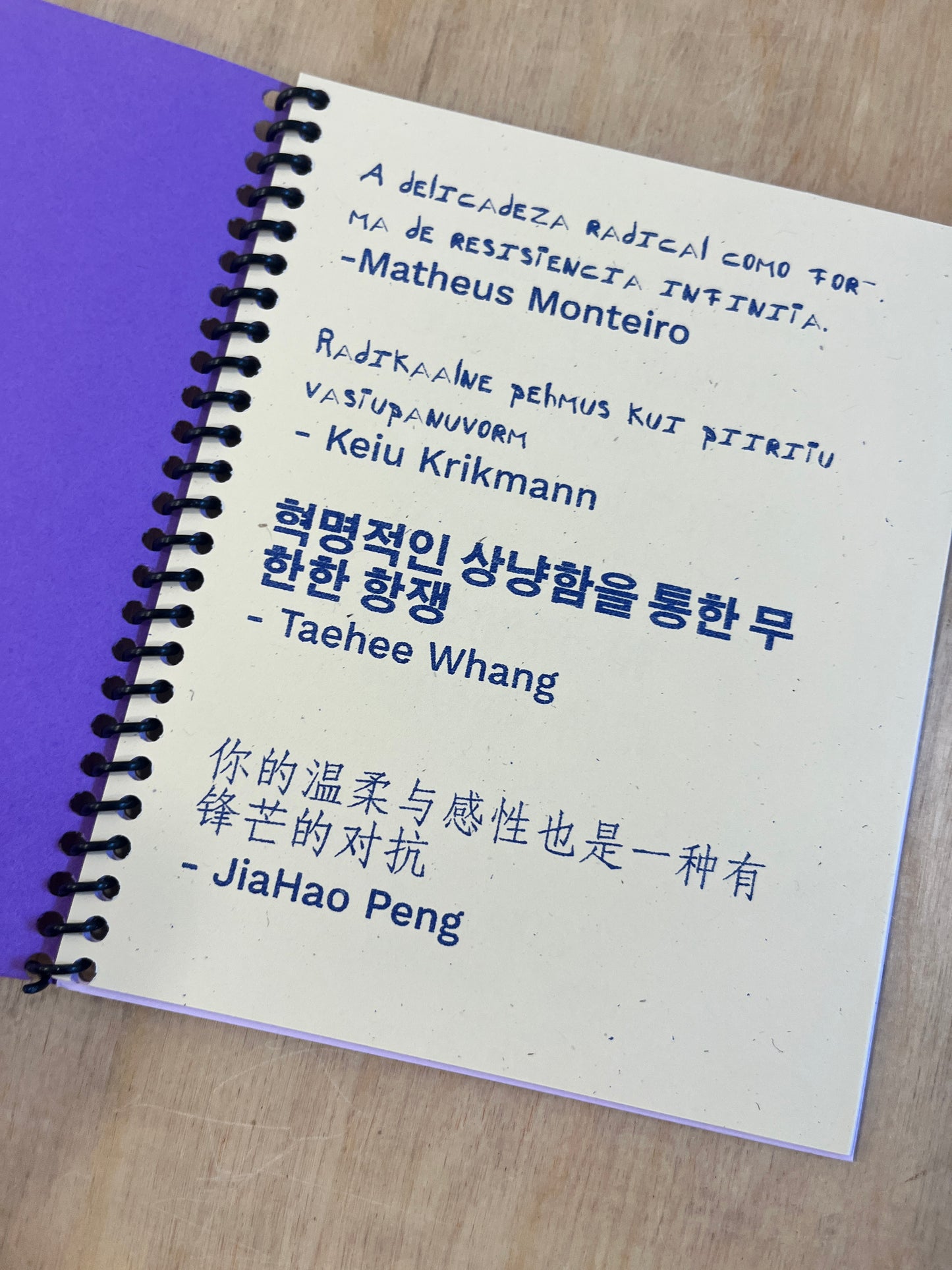 Some Definitions, Some Thoughts, Some Assertions, Radical Softness as a Boundless Form of Resistance 3rd ED.