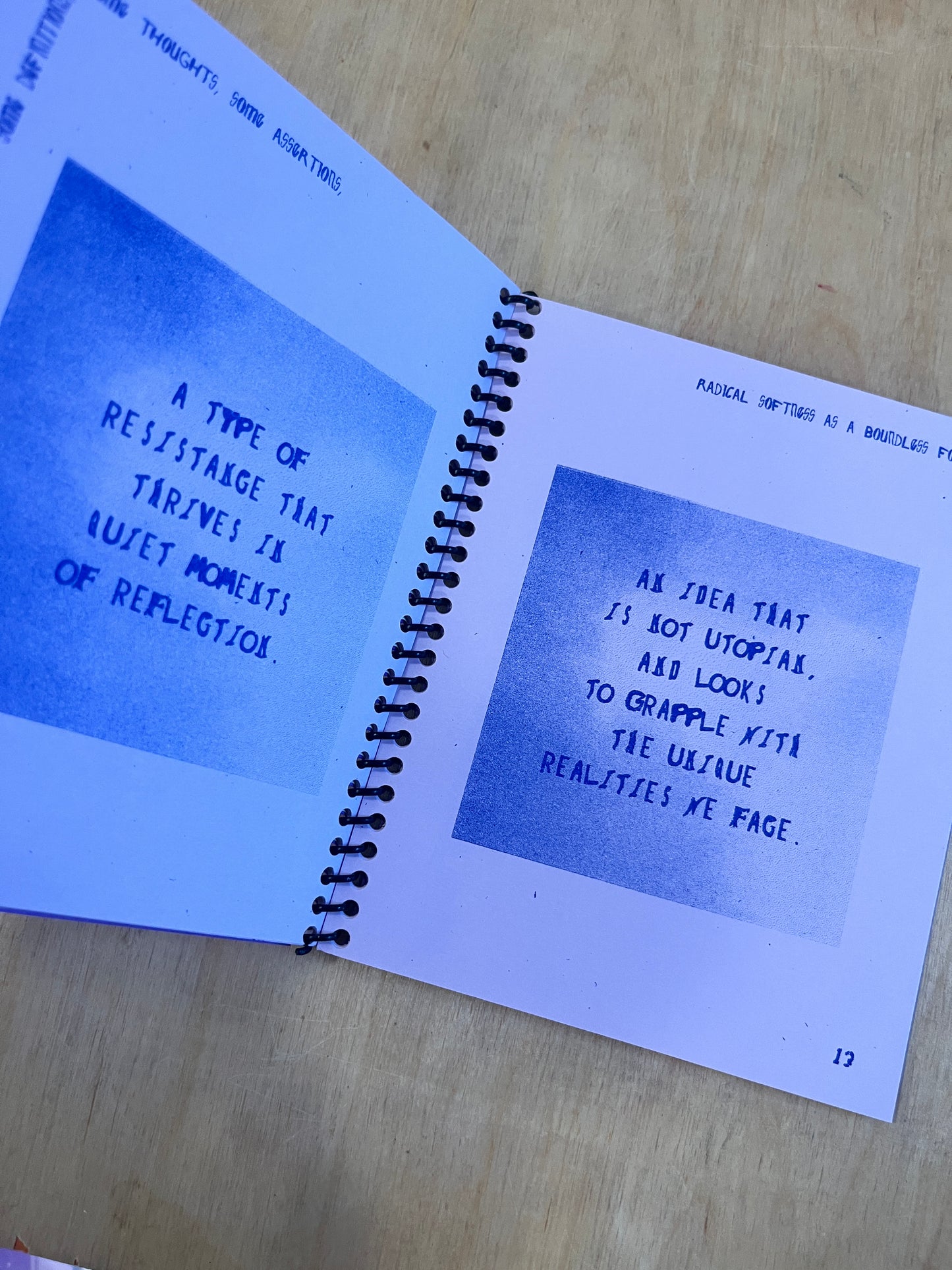 Some Definitions, Some Thoughts, Some Assertions, Radical Softness as a Boundless Form of Resistance 3rd ED.