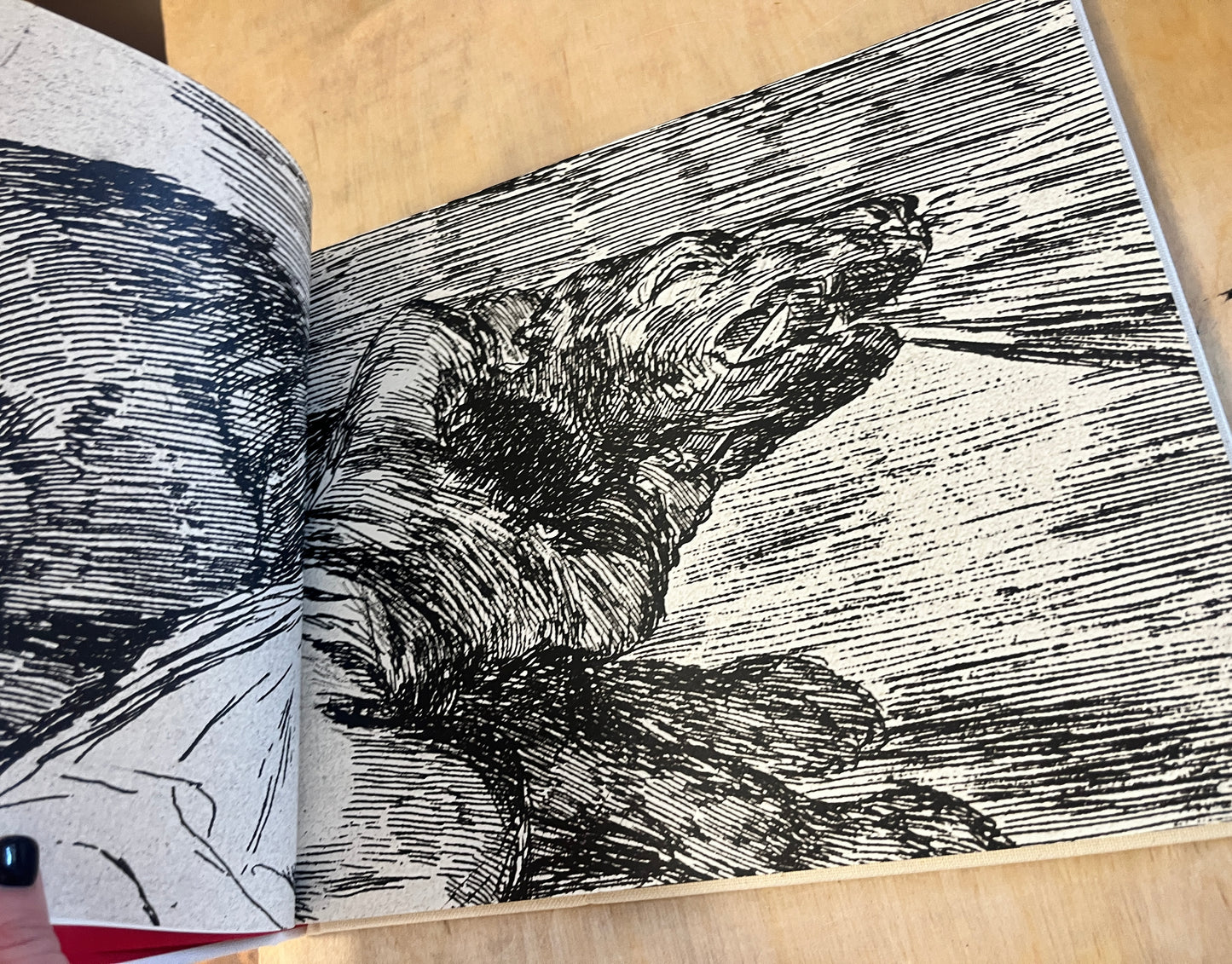 Goya: The Disasters of War
