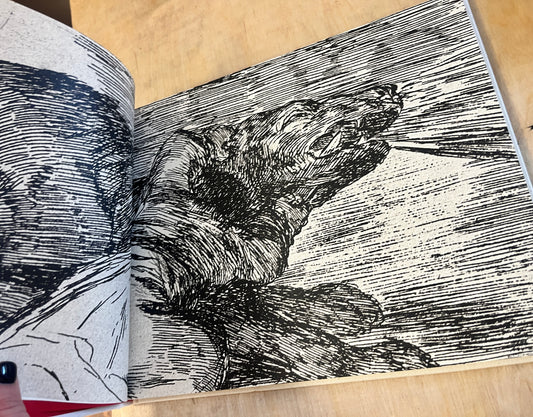 Goya: The Disasters of War