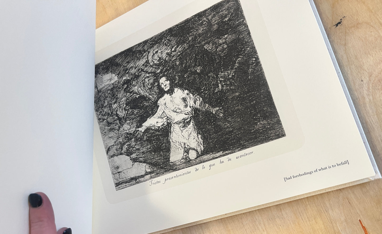 Goya: The Disasters of War