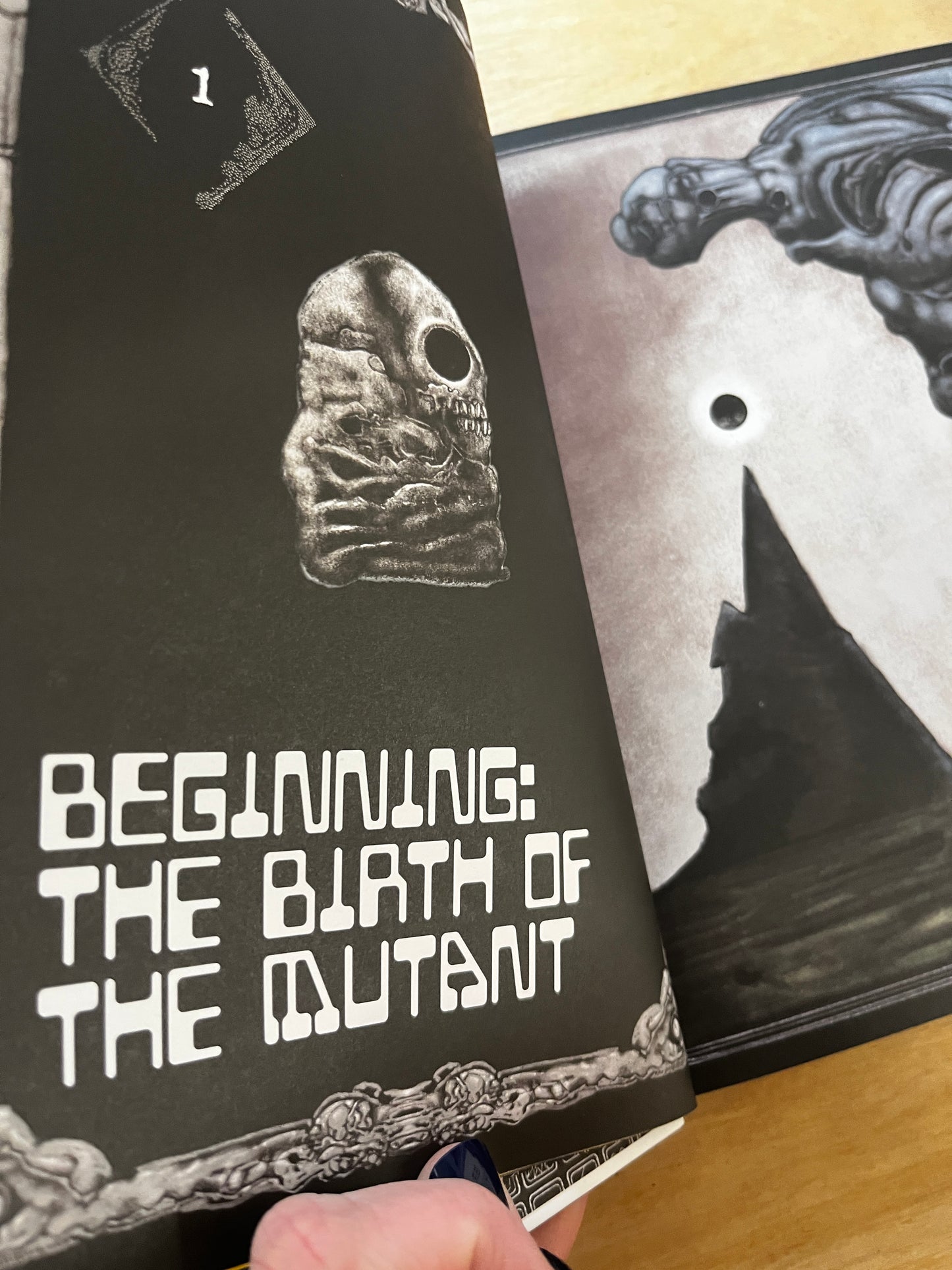 BUBZIUM The Guidebook to Postapoland