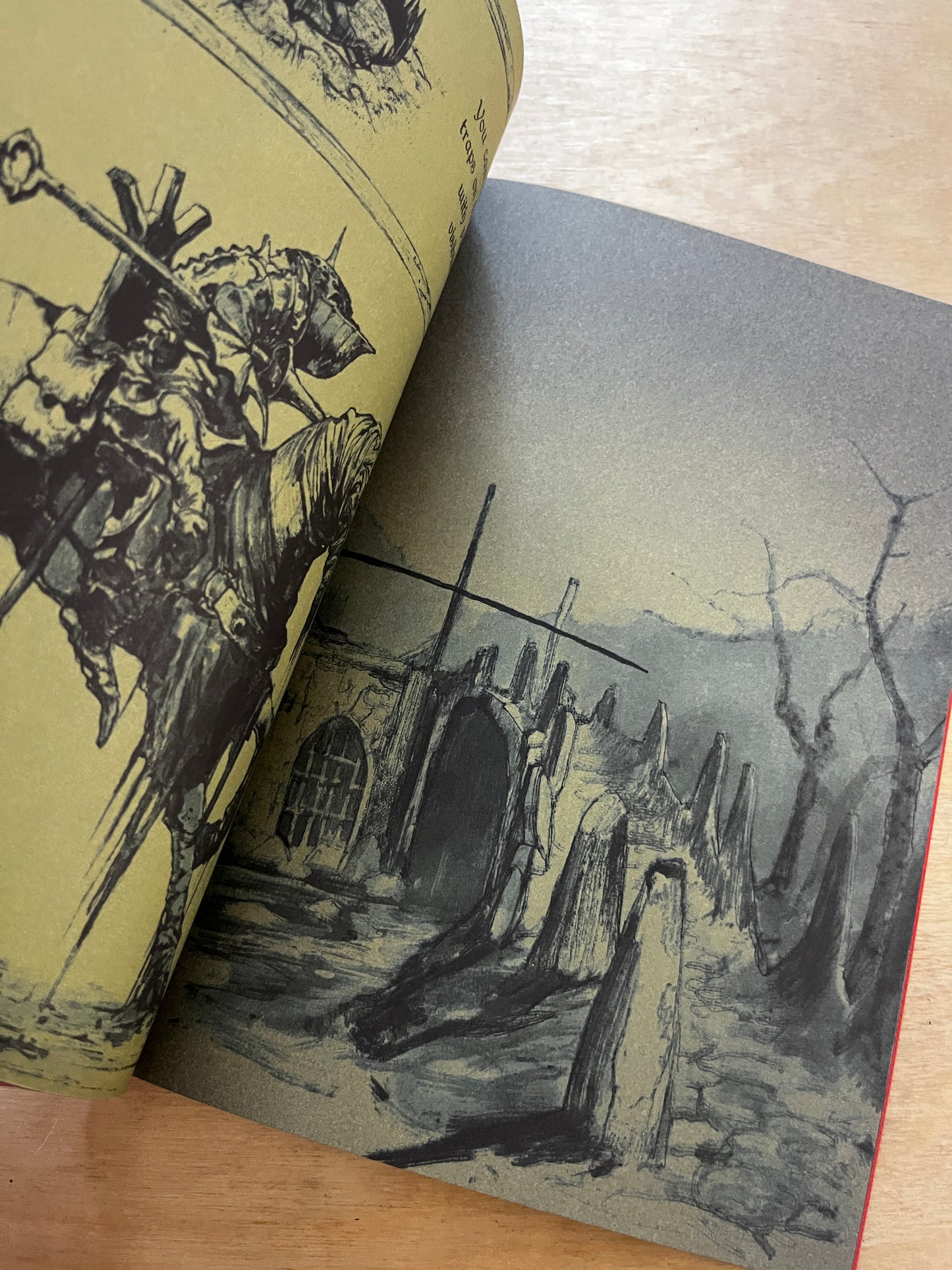 AGE OF ROT SC by Strange House
