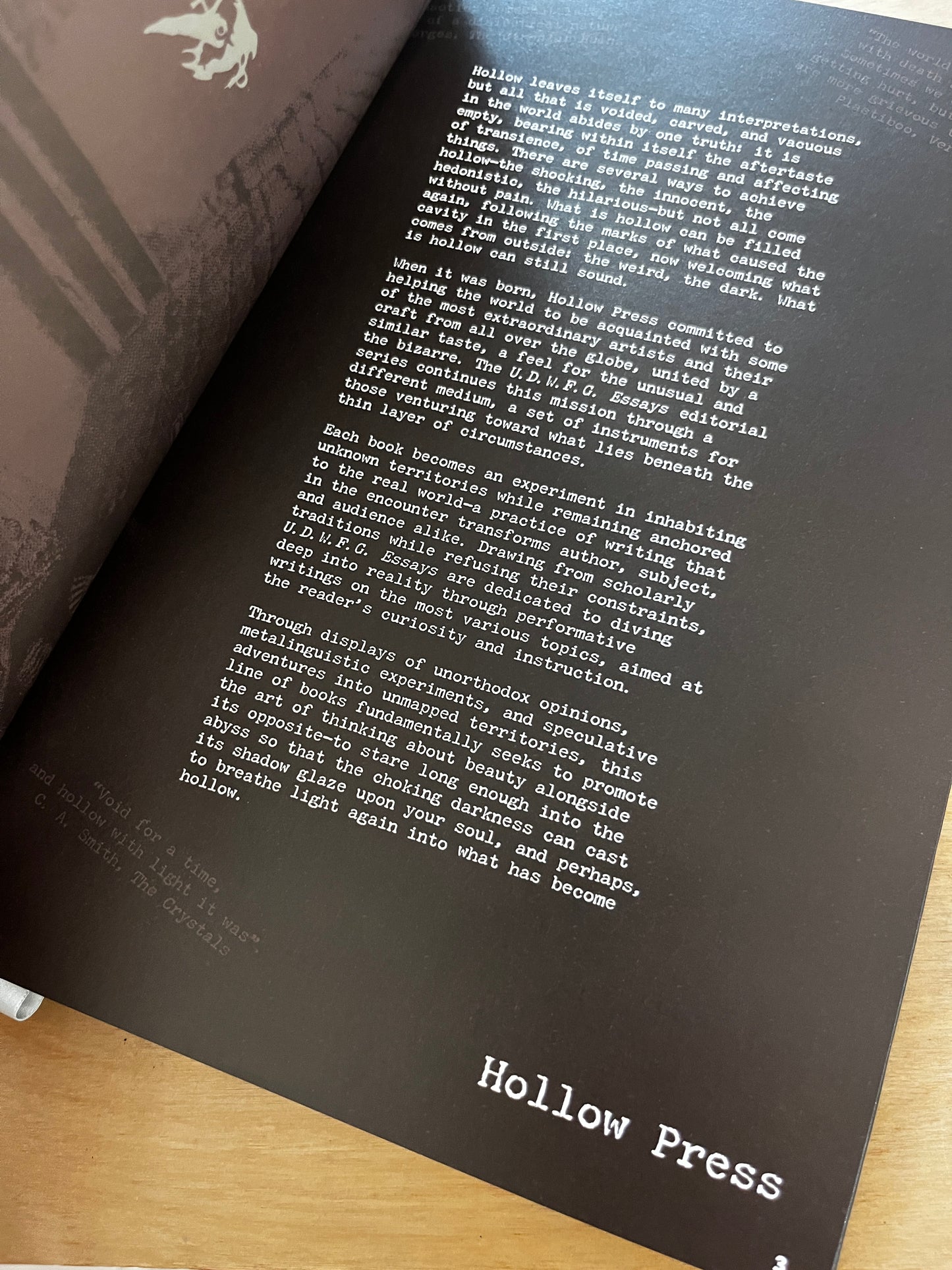 BIZARRE WORLD OF FAKE VIDEOGAMES by Super Eyepatch Wolf