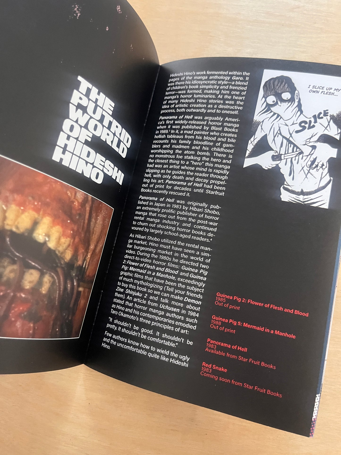 DEMON ZINE SHINJUKU: ANIME HORROR IN THE AGE OF VIDEO