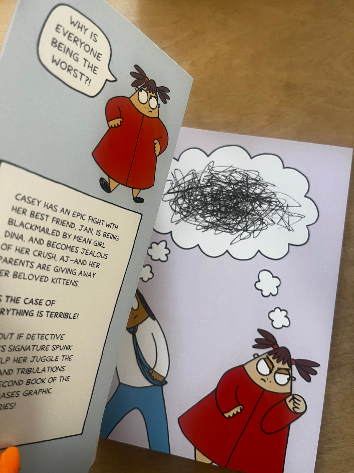 Casey's Cases: Everything is Terrible (Book 2)